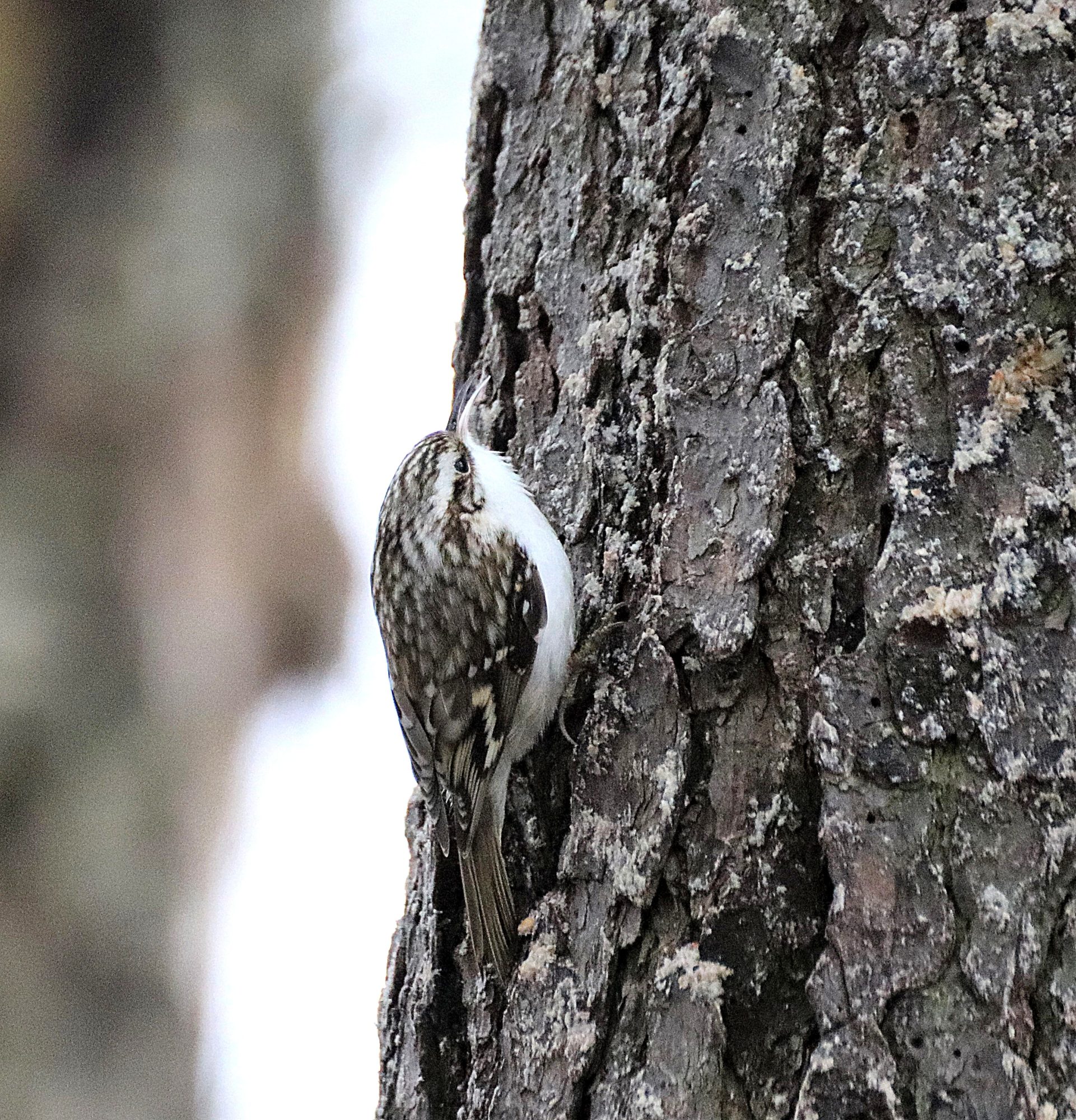 Valokuvaaja: Irja Lehtinen