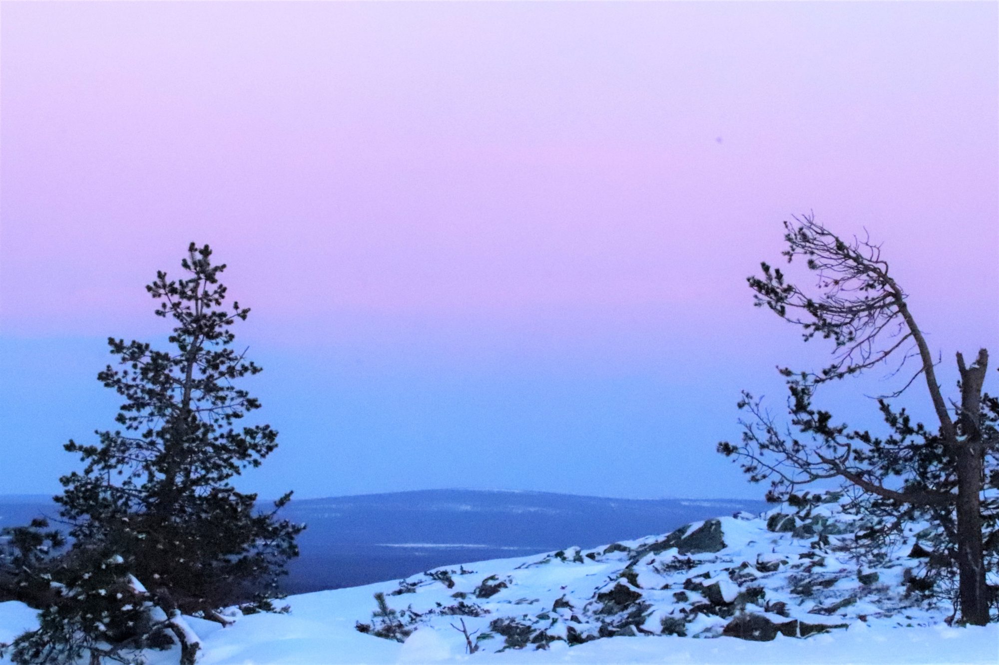 Valokuvaaja: Irja Lehtinen