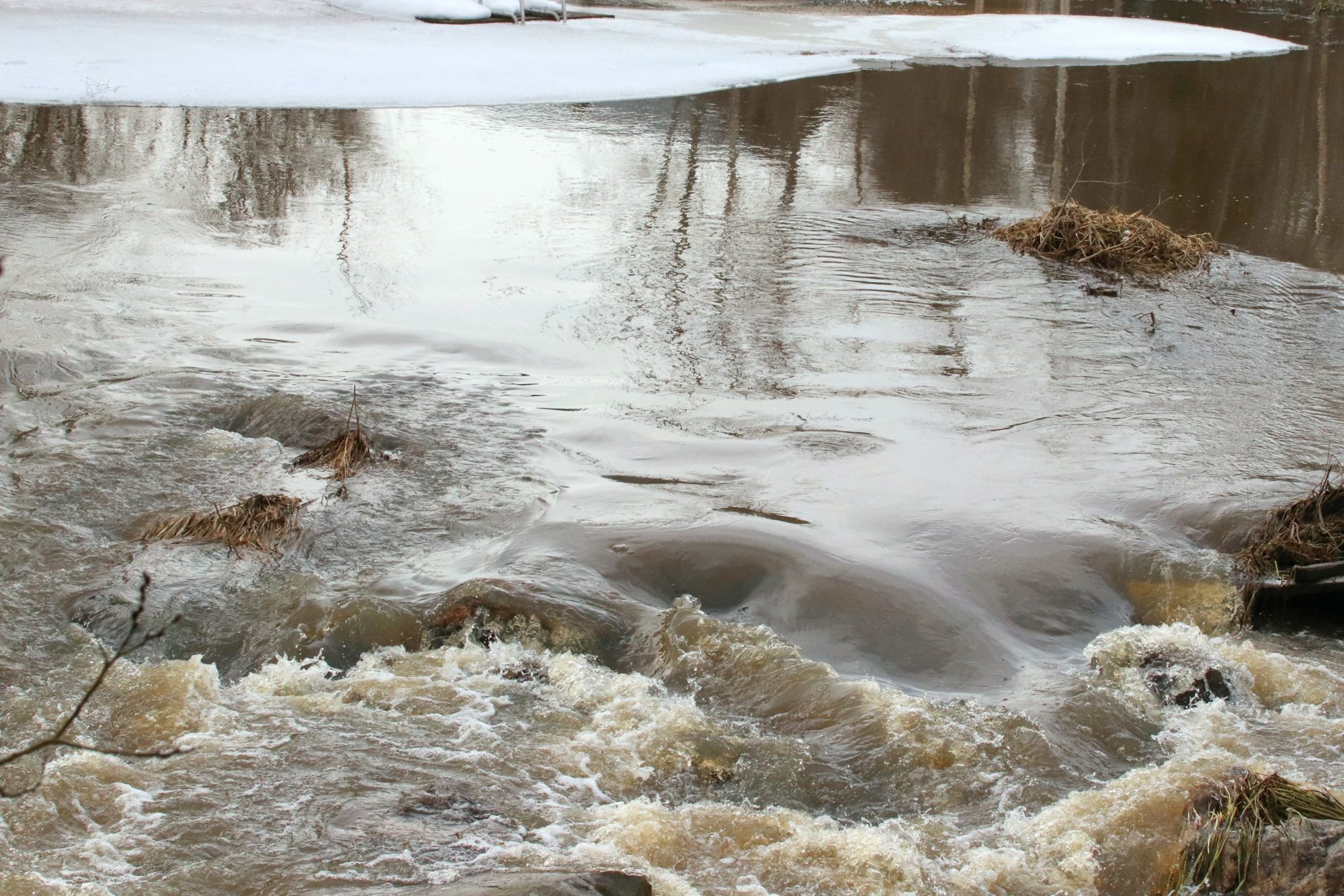 Valokuvaaja: Irja Lehtinen Valokuvaaja: Irja Lehtinen