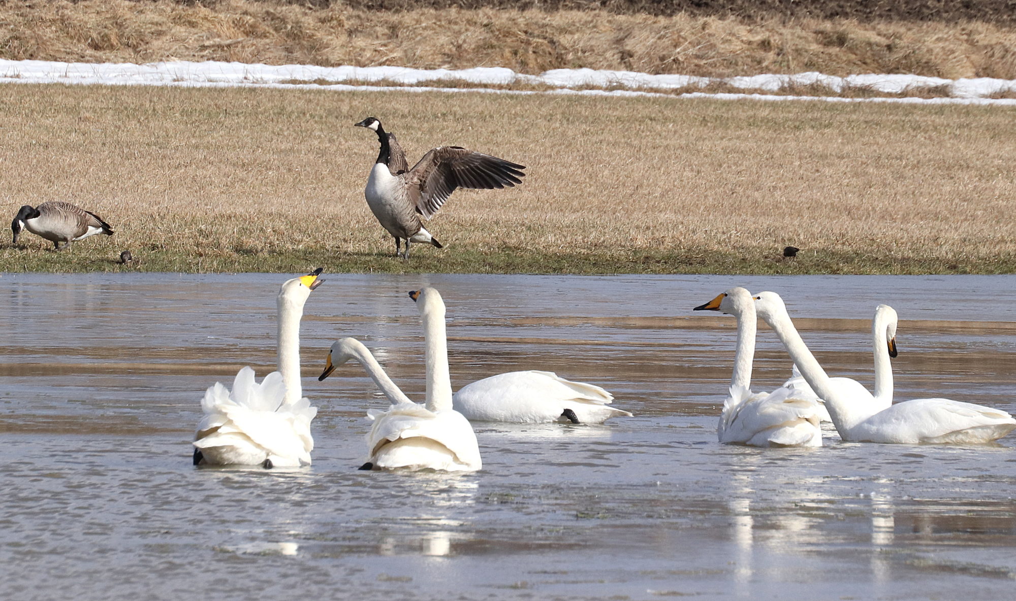 Valokuvaaja: Irja Lehtinen