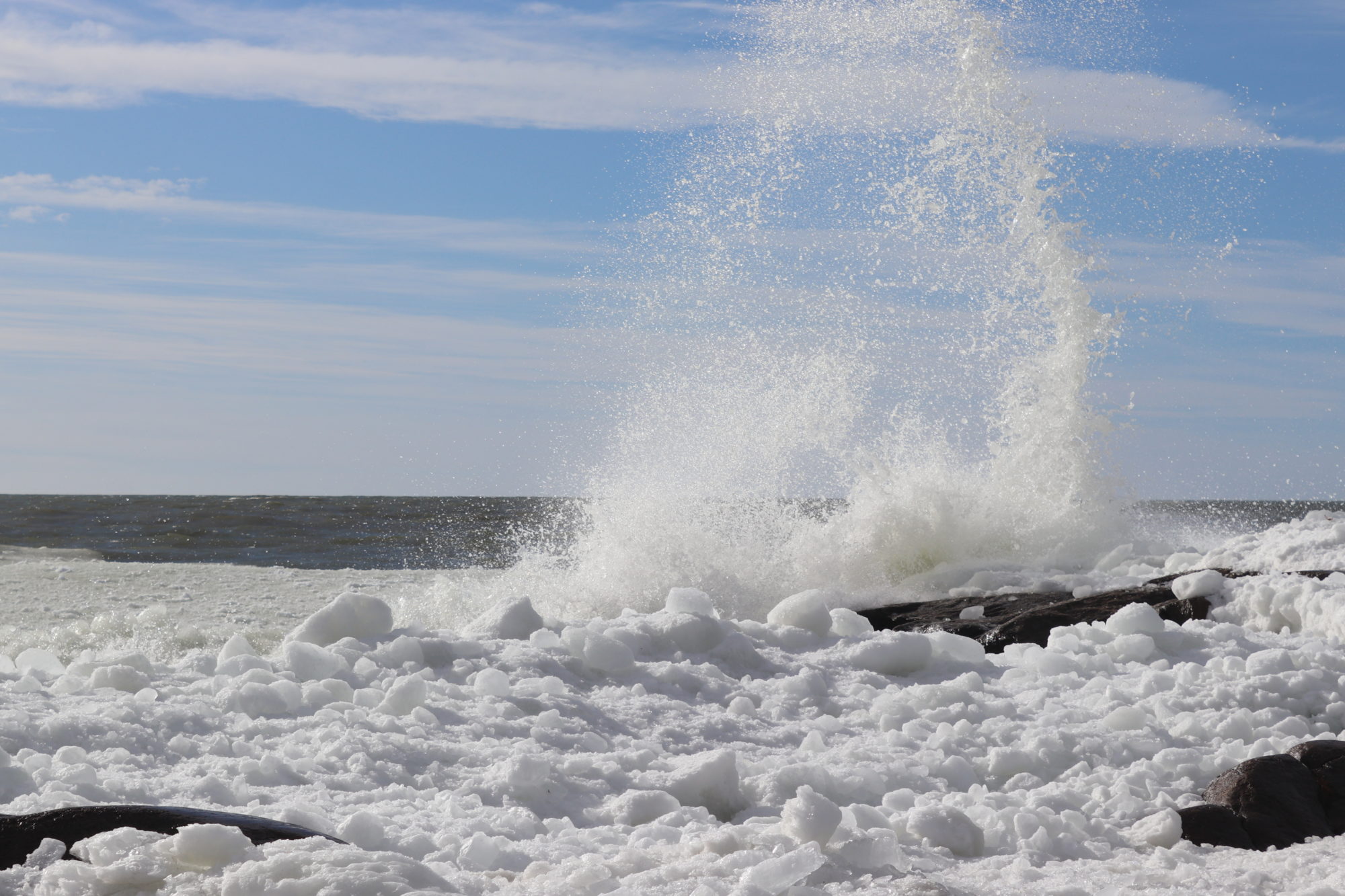 Valokuvaaja: Irja Lehtinen