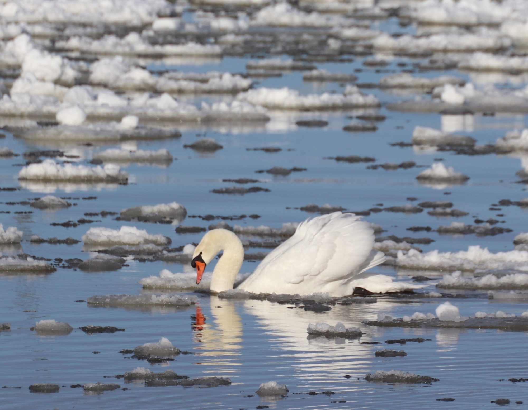 Valokuvaaja: Irja Lehtinen