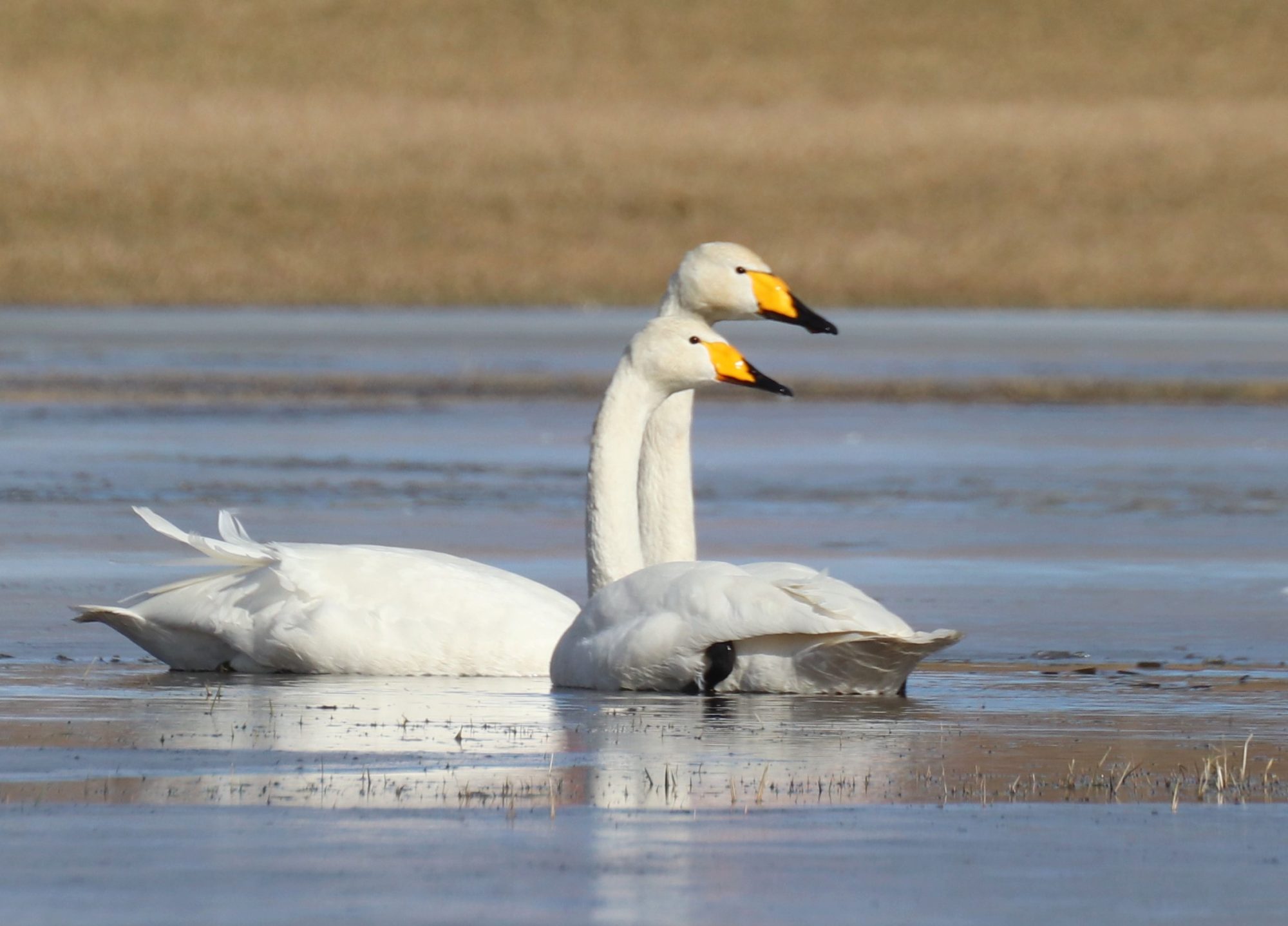 Valokuvaaja: Irja Lehtinen Valokuvaaja: Irja Lehtinen