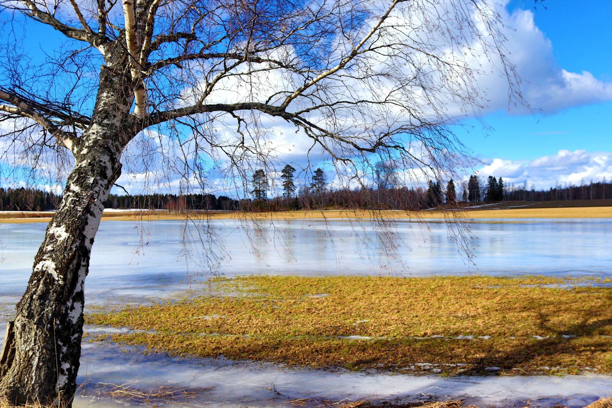 Valokuvaaja: Irja Lehtinen