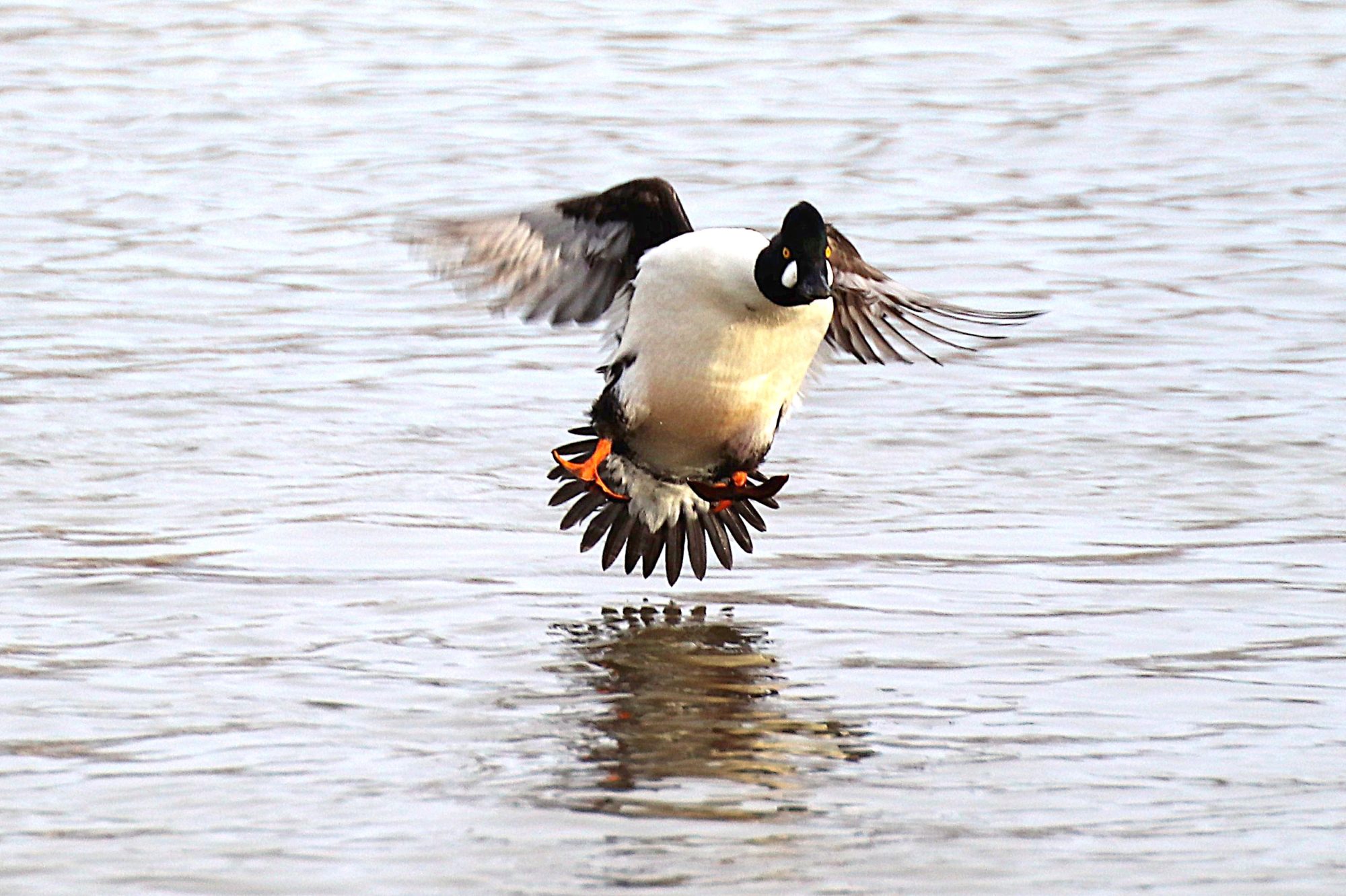 Valokuvaaja: Irja Lehtinen