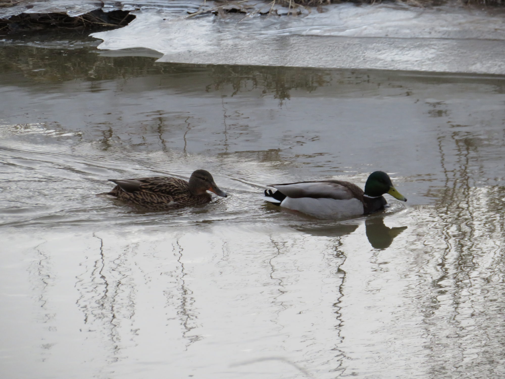 Valokuvaaja: Risto Kangassalo