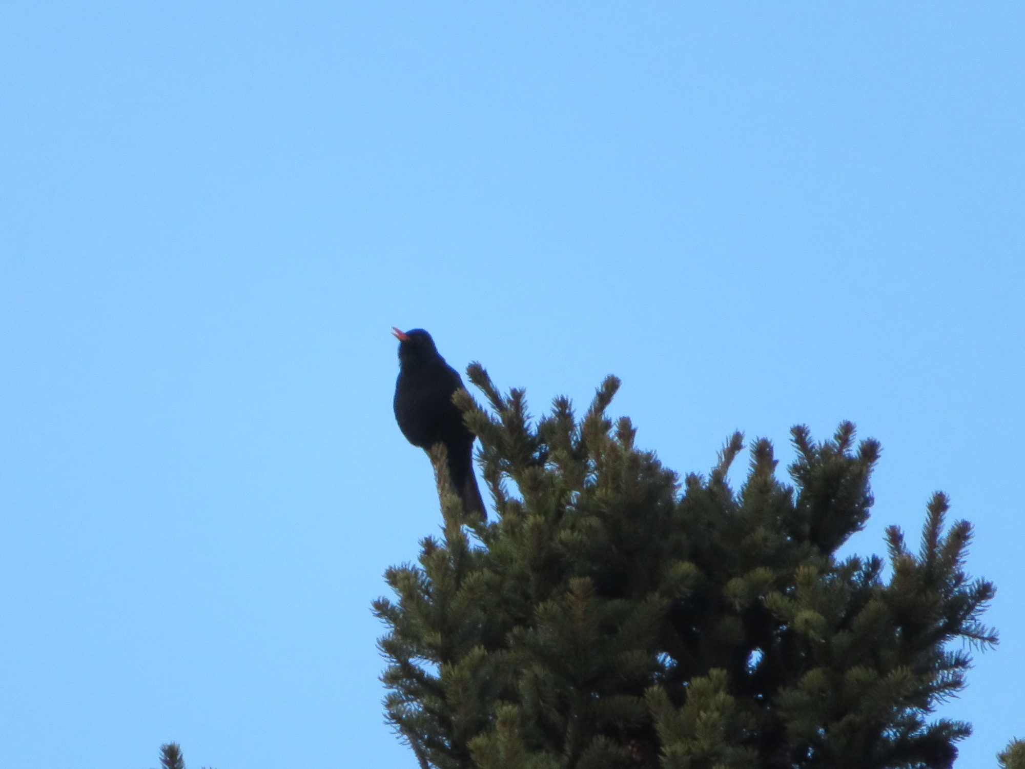 Valokuvaaja: Risto Kangassalo