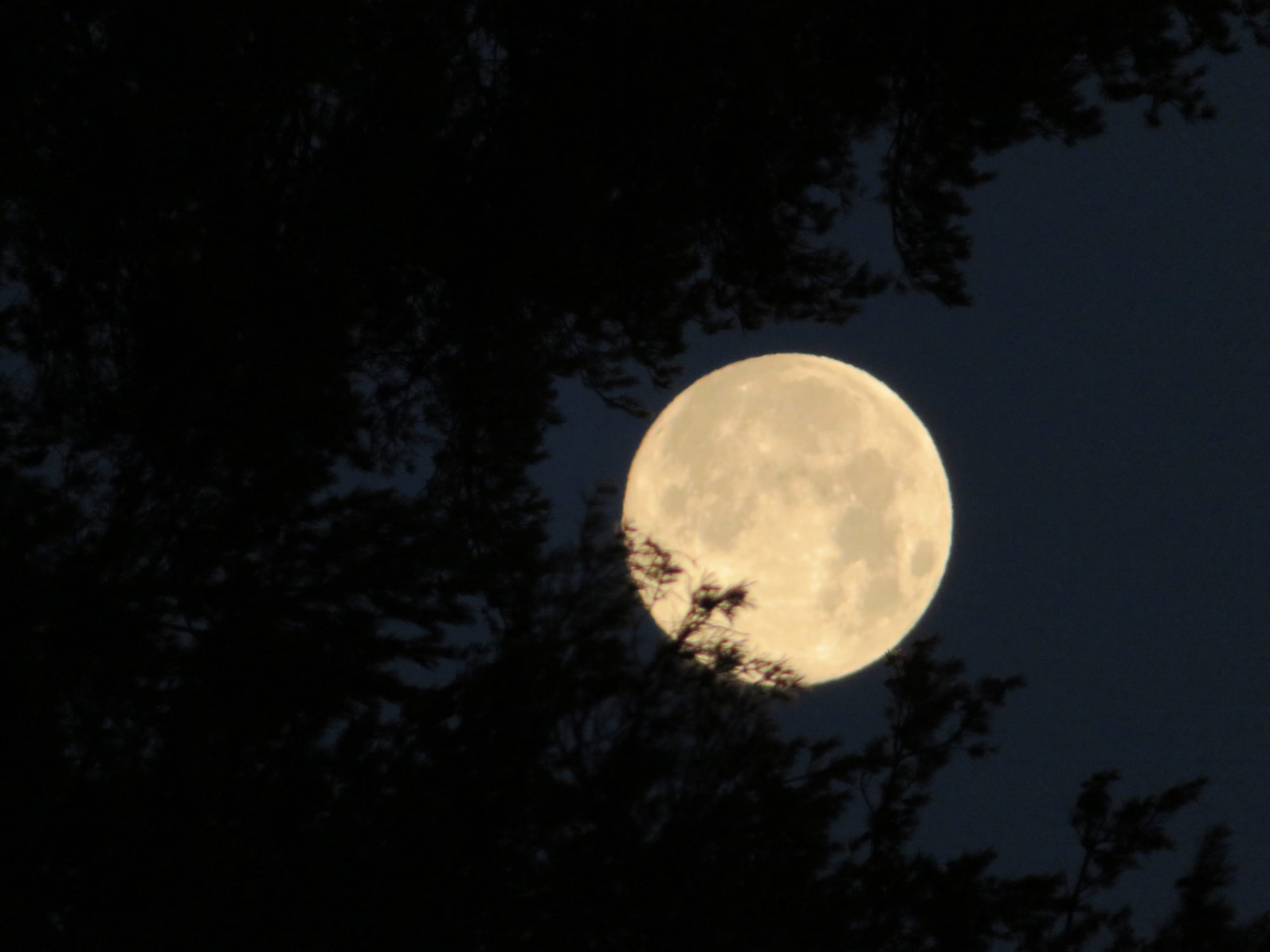 Valokuvaaja: Risto Kangassalo