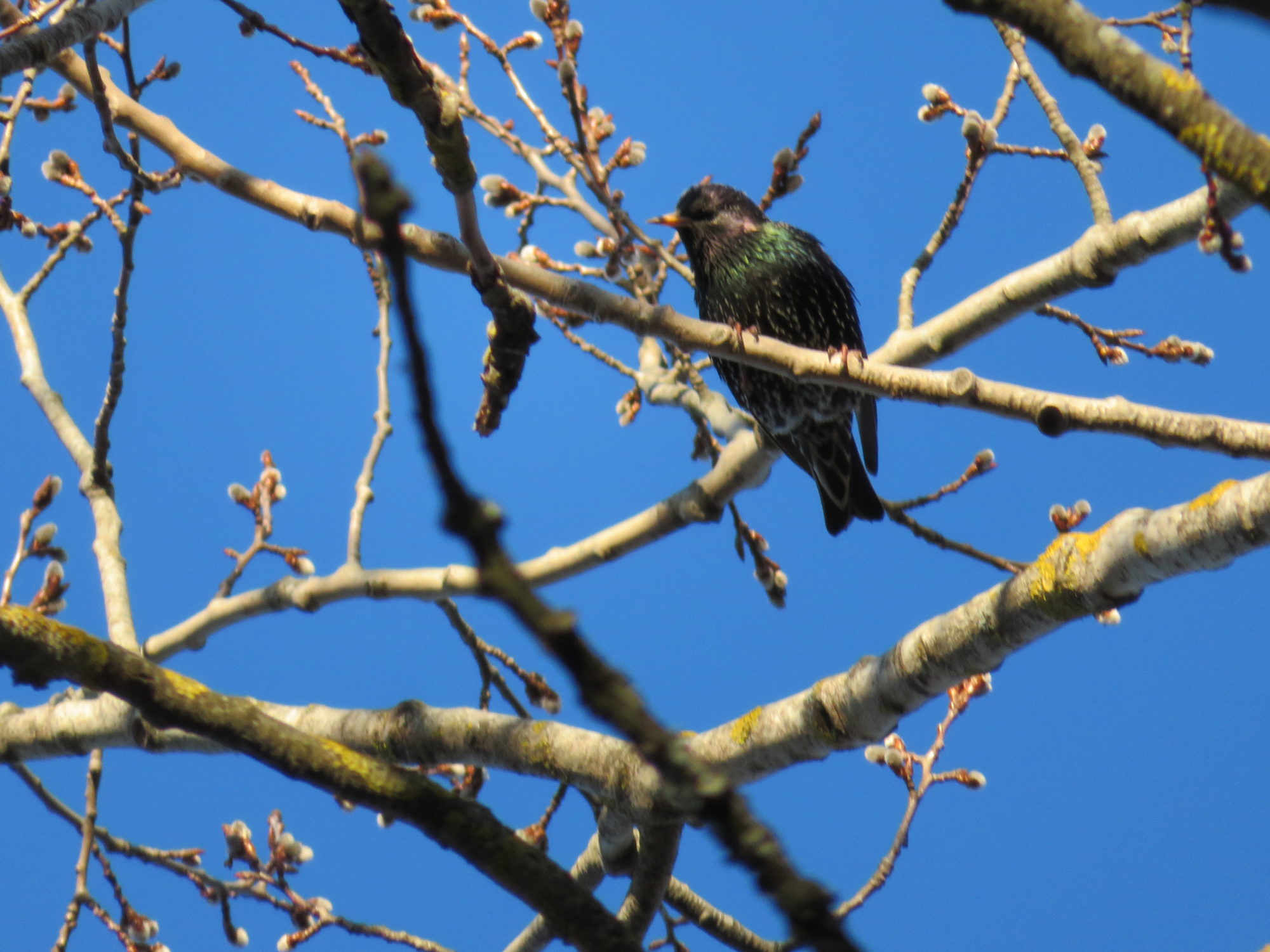 Valokuvaaja: Risto Kangassalo