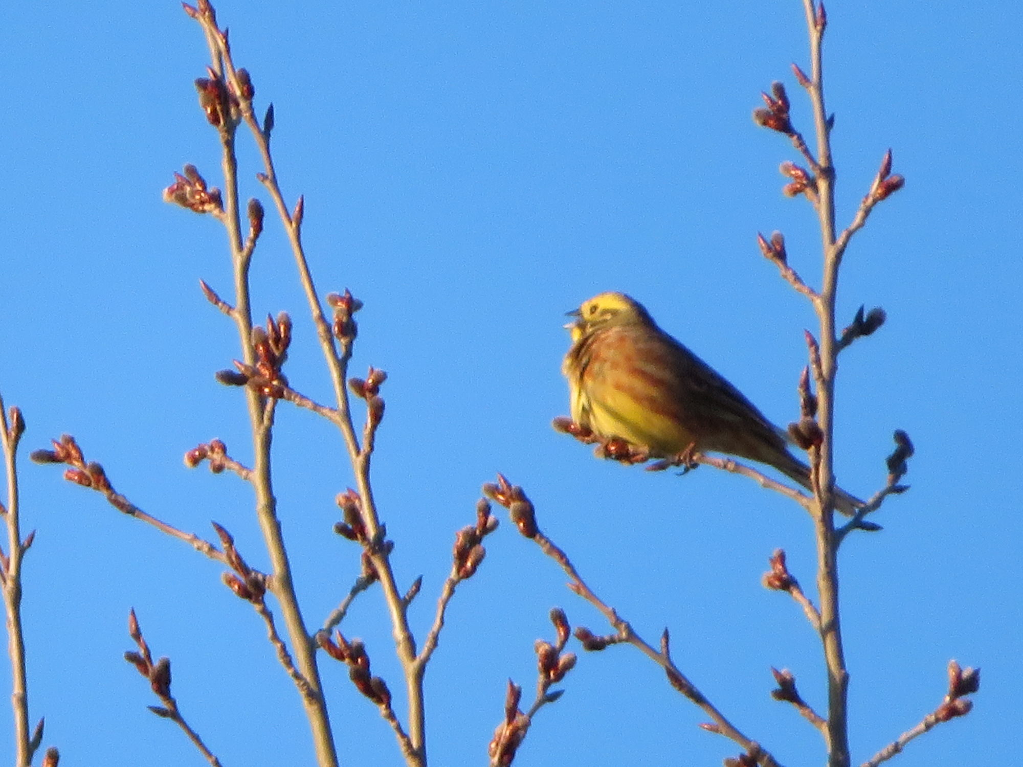 Valokuvaaja: Risto Kangassalo