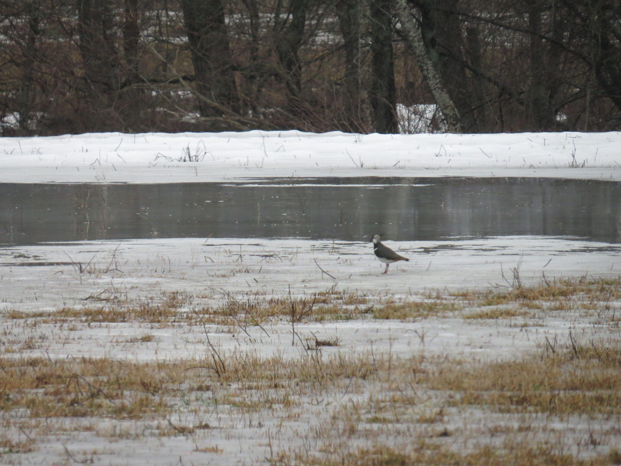 Valokuvaaja: Sirpa Uusi-Uola