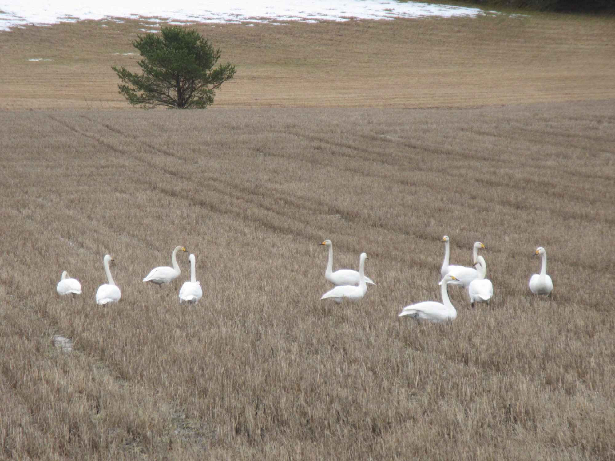 Valokuvaaja: Terttu Rantanen