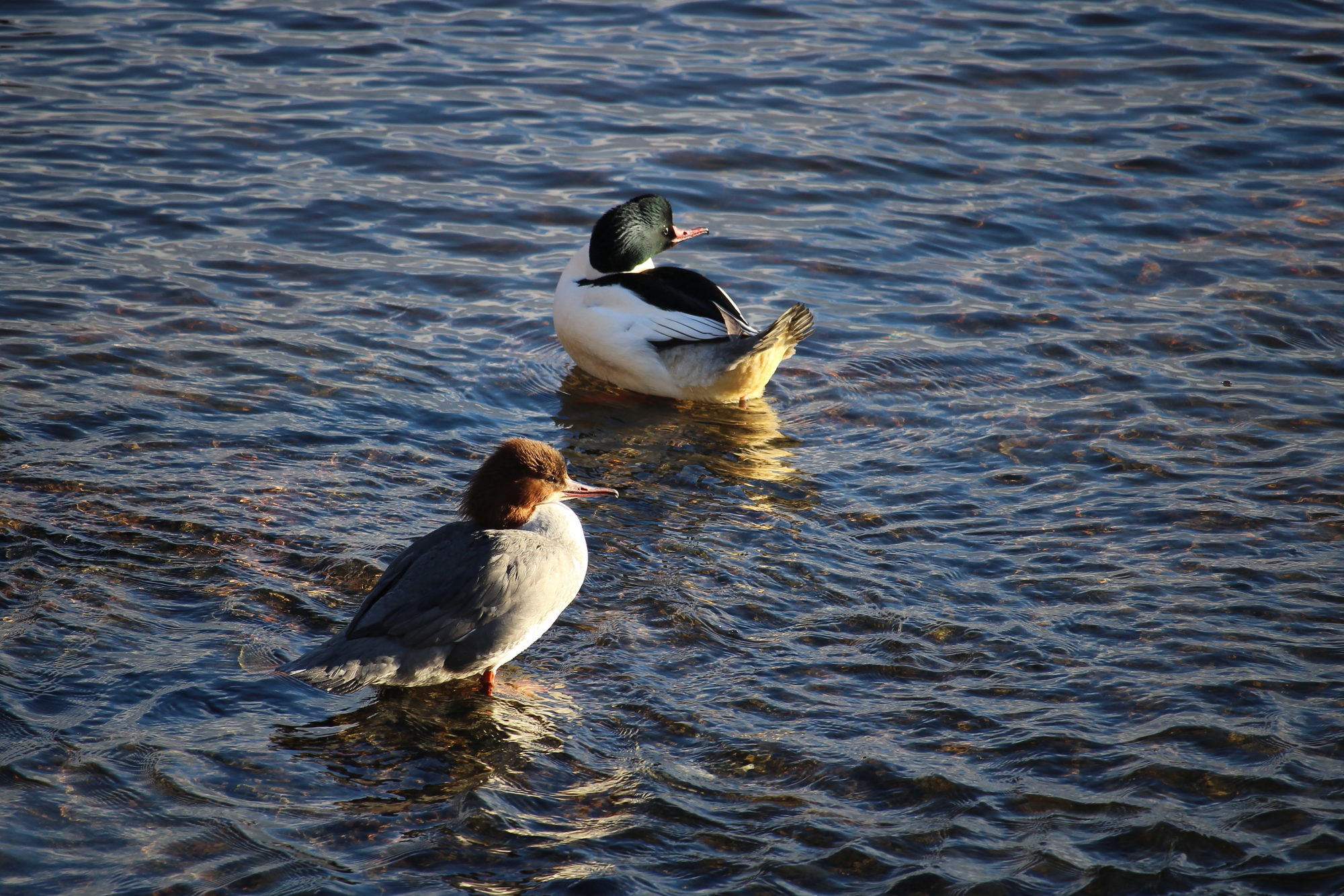 Valokuvaaja: Kirsi-Marja Joenpolvi