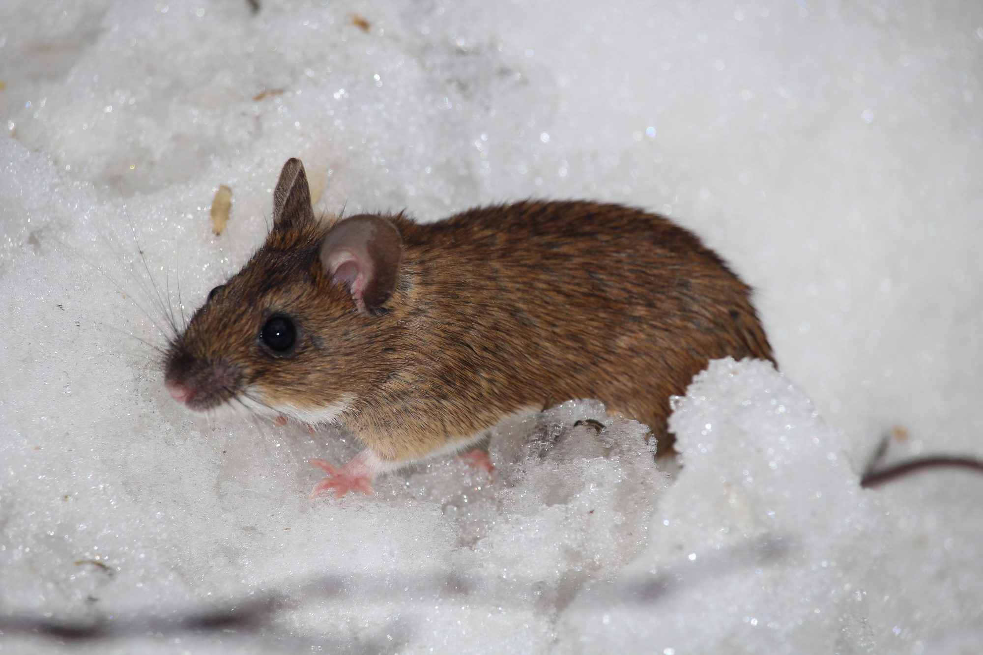 Valokuvaaja: Kirsi-Marja Joenpolvi