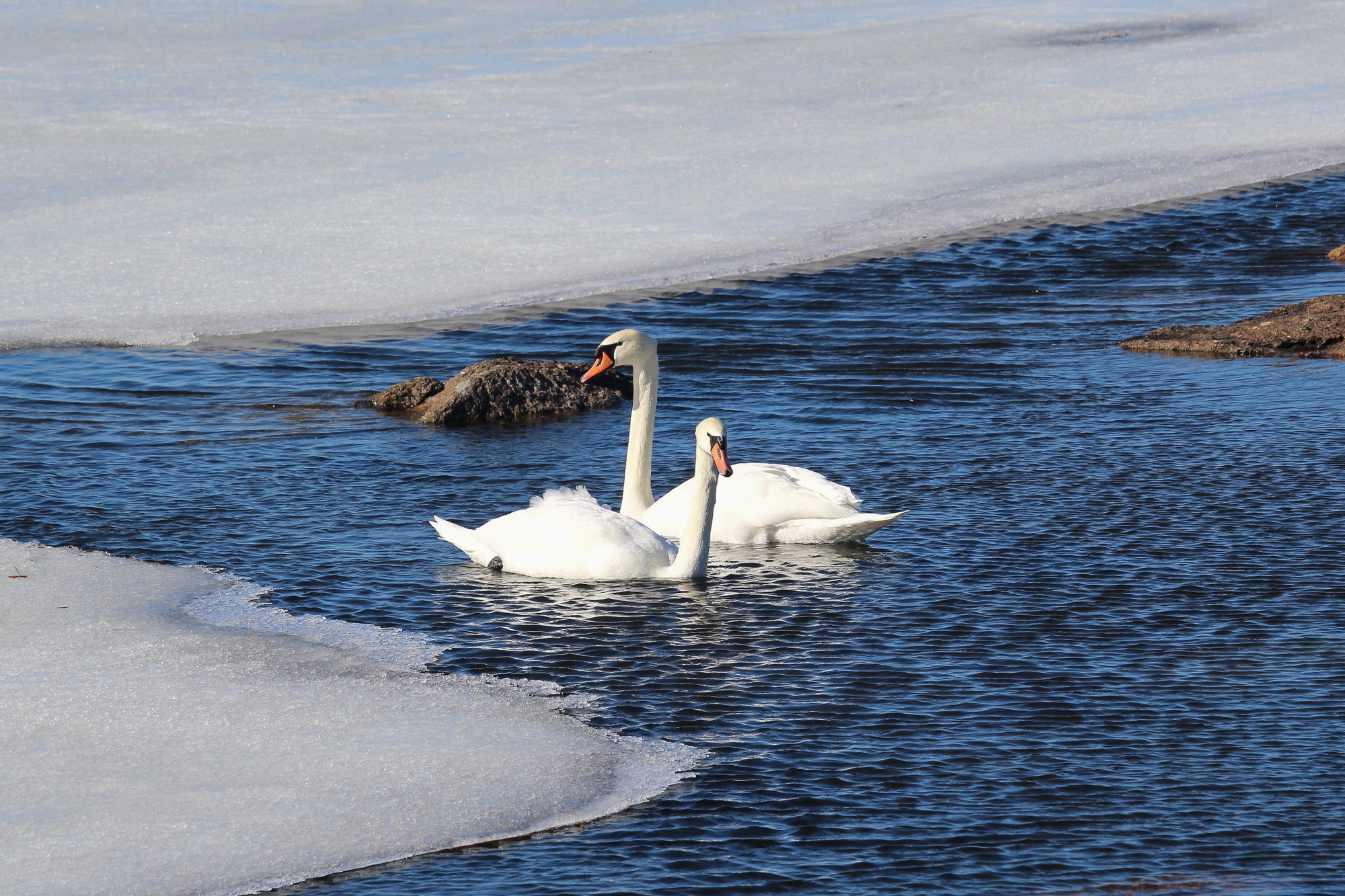 Valokuvaaja: Kirsi-Marja Joenpolvi Valokuvaaja: Kirsi-Marja Joenpolvi