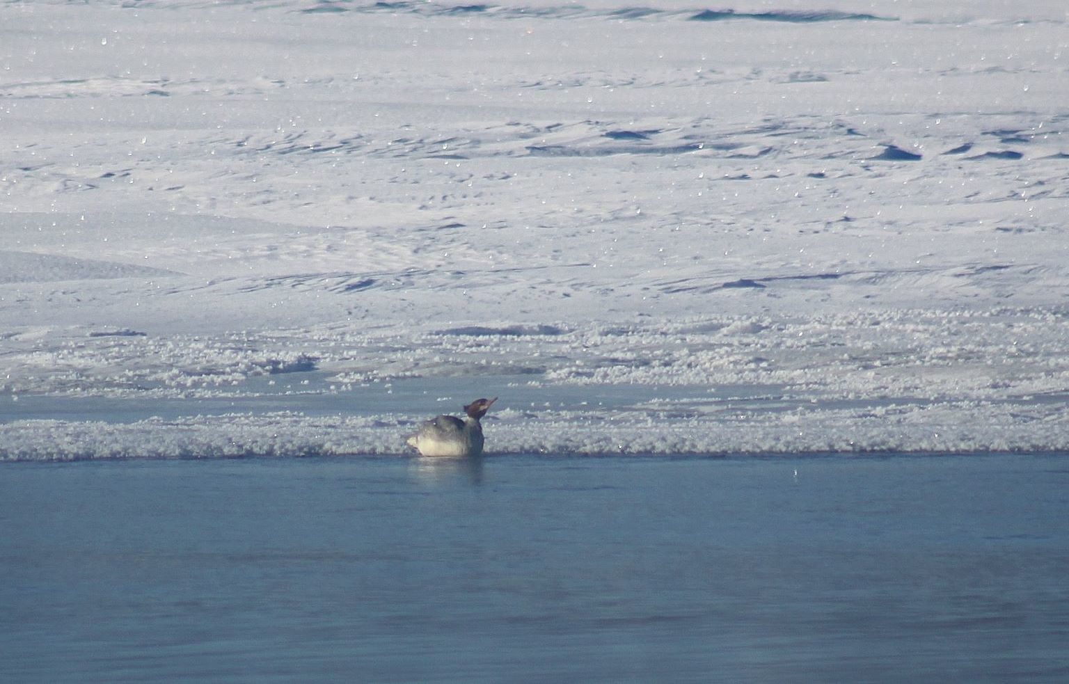 Valokuvaaja: Pirkko Siukonen