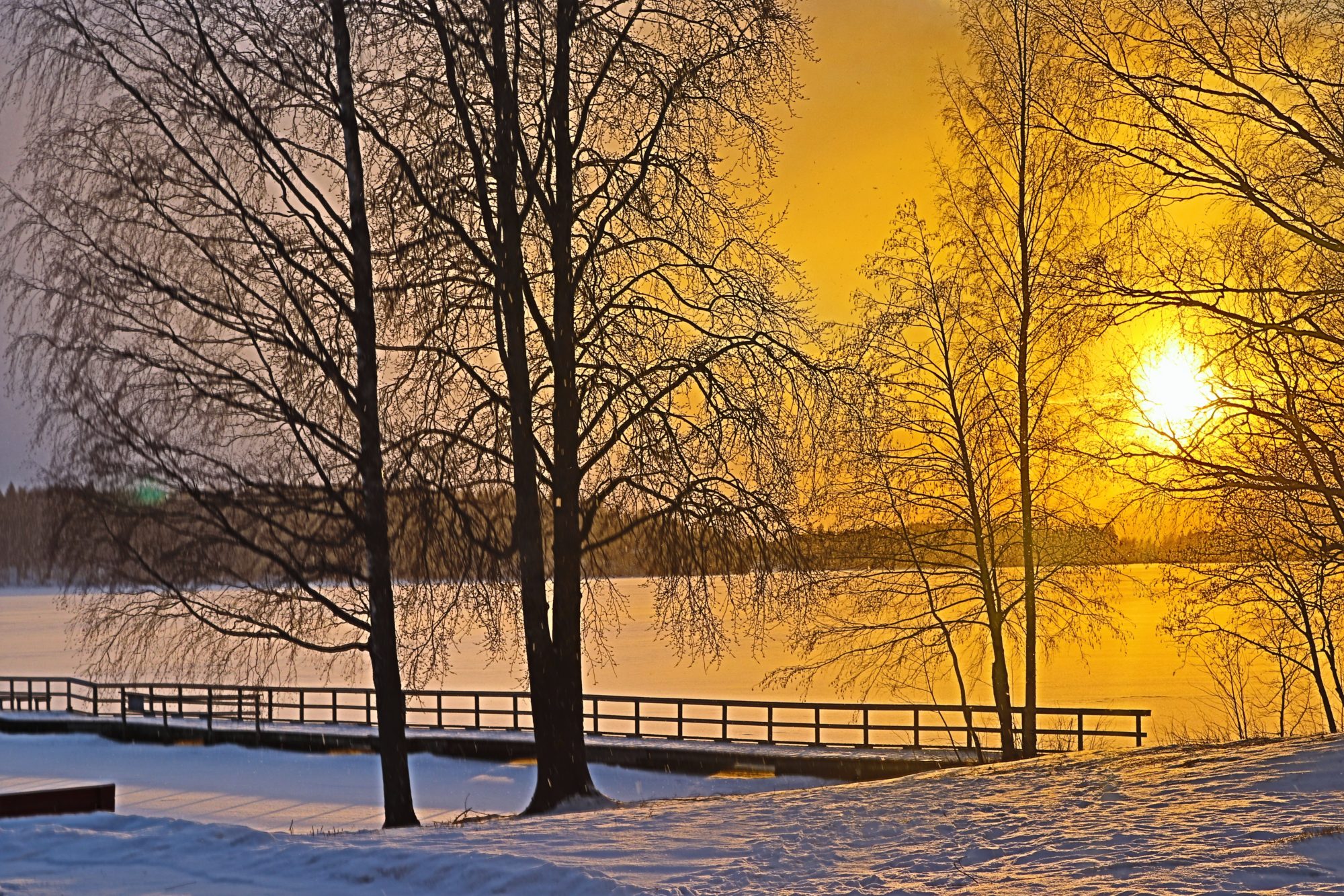 Valokuvaaja: Irja Lehtinen