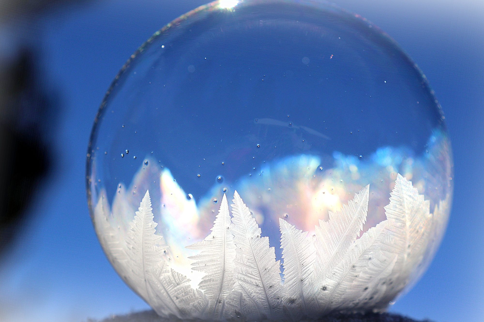 Valokuvaaja: Irja Lehtinen