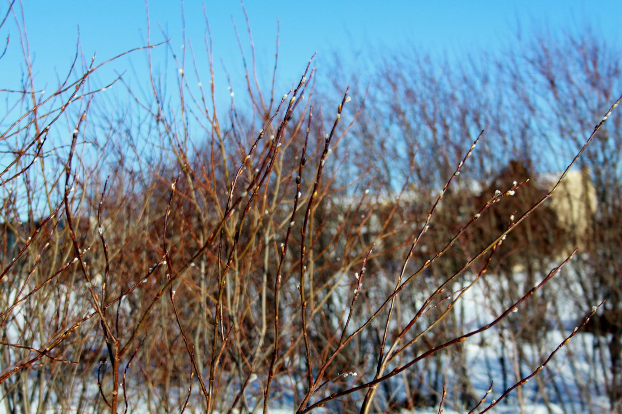 Valokuvaaja: Pirkko Siukonen