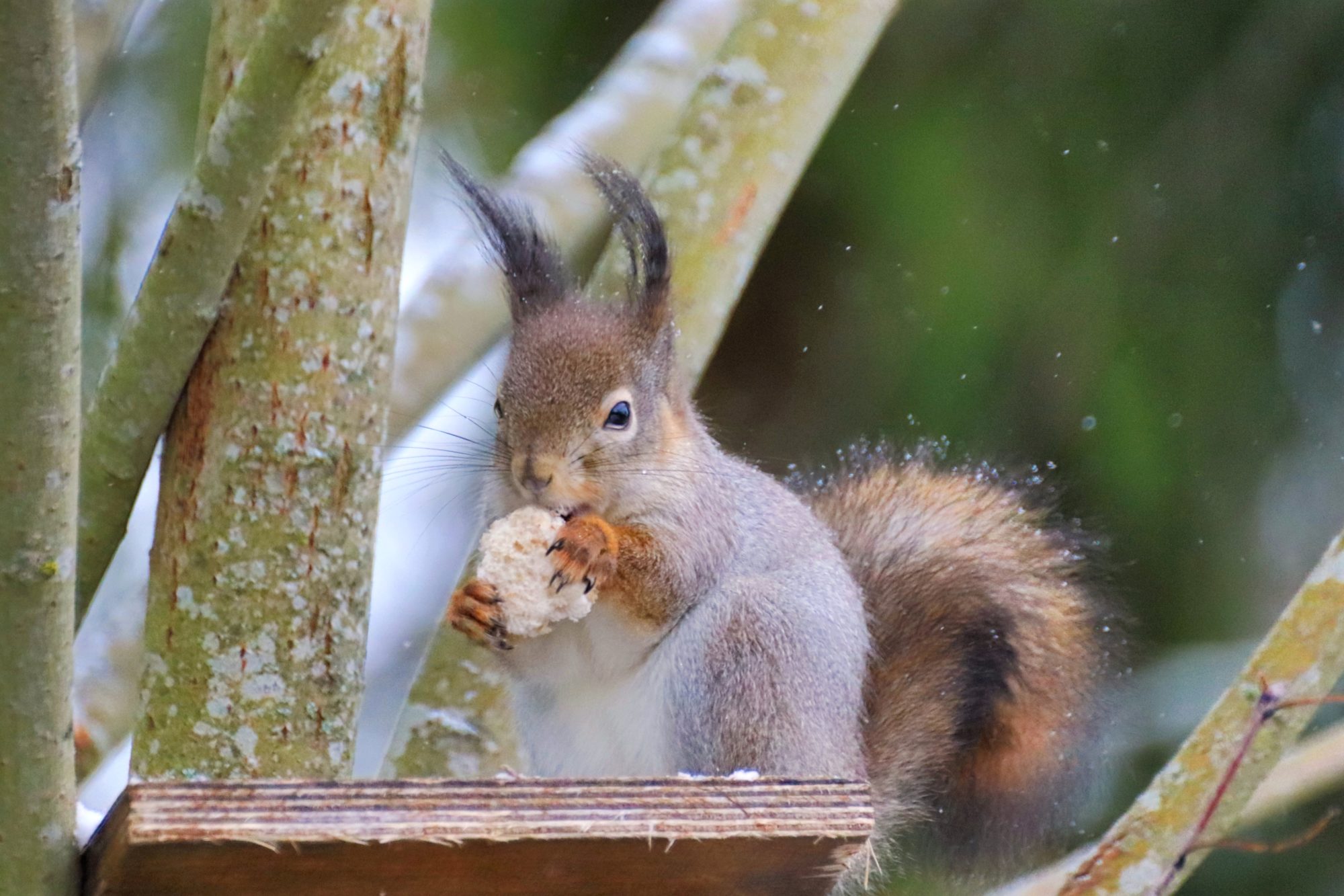 Valokuvaaja: Irja Lehtinen