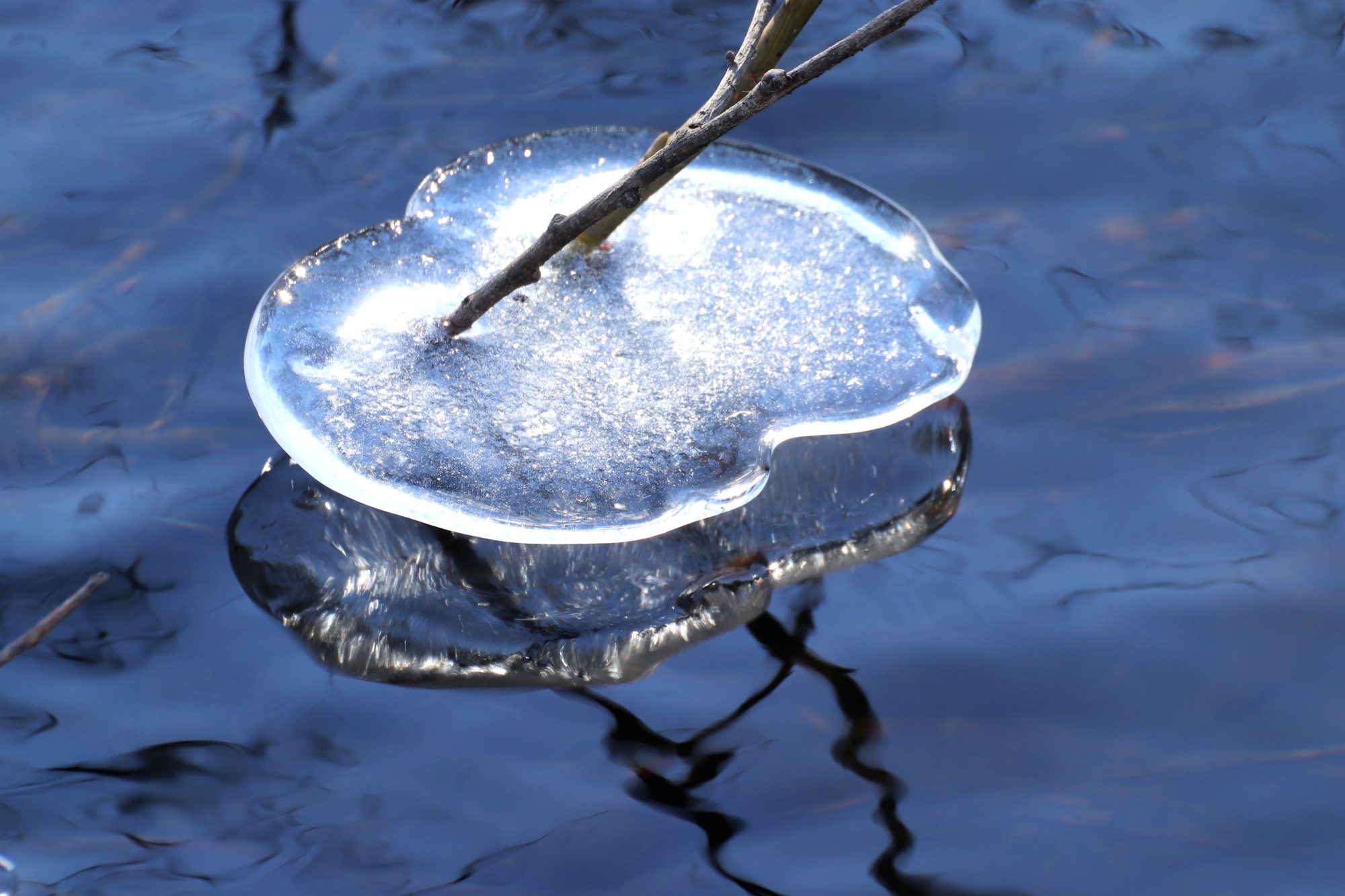 Valokuvaaja: Irja Lehtinen