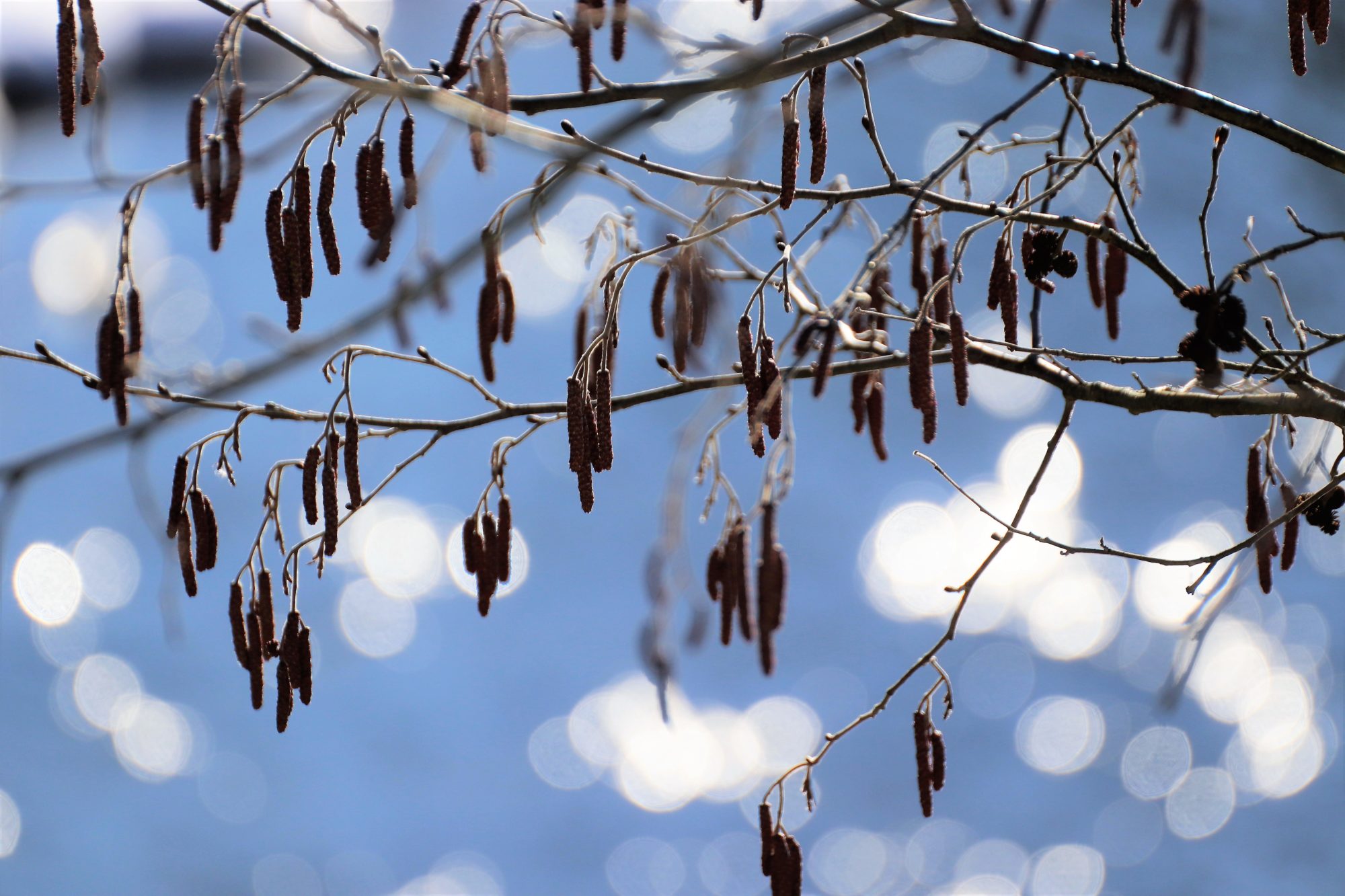 Valokuvaaja: Irja Lehtinen