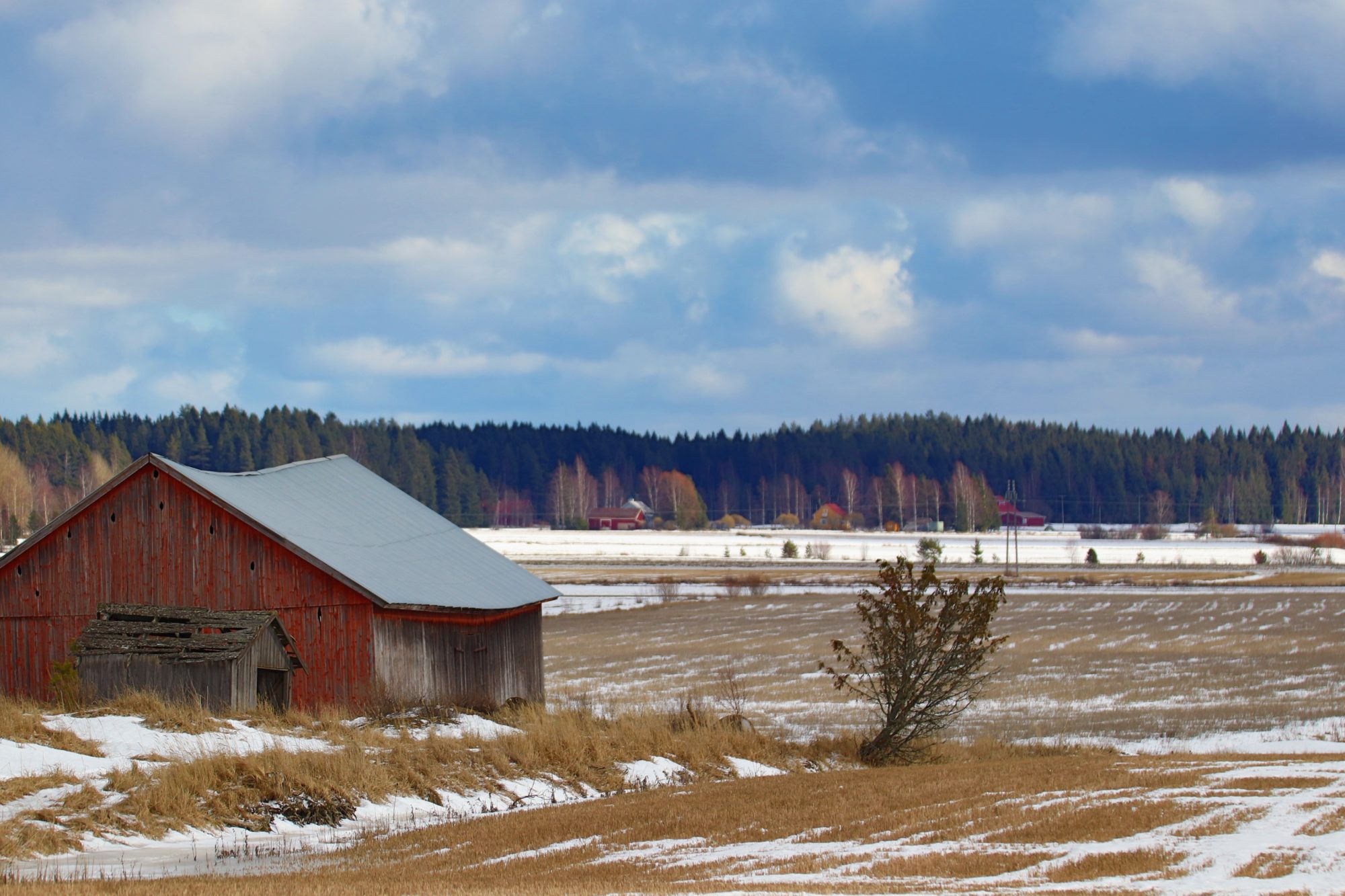 Valokuvaaja: Irja Lehtinen