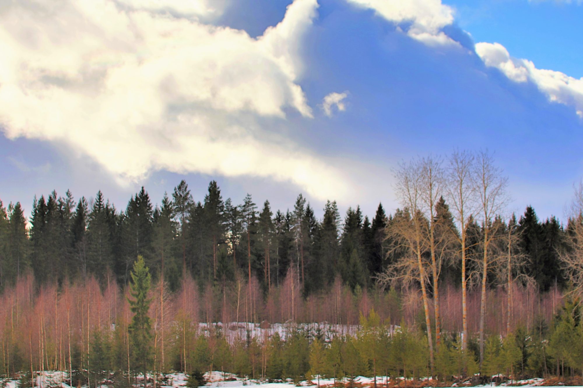 Valokuvaaja: Irja Lehtinen