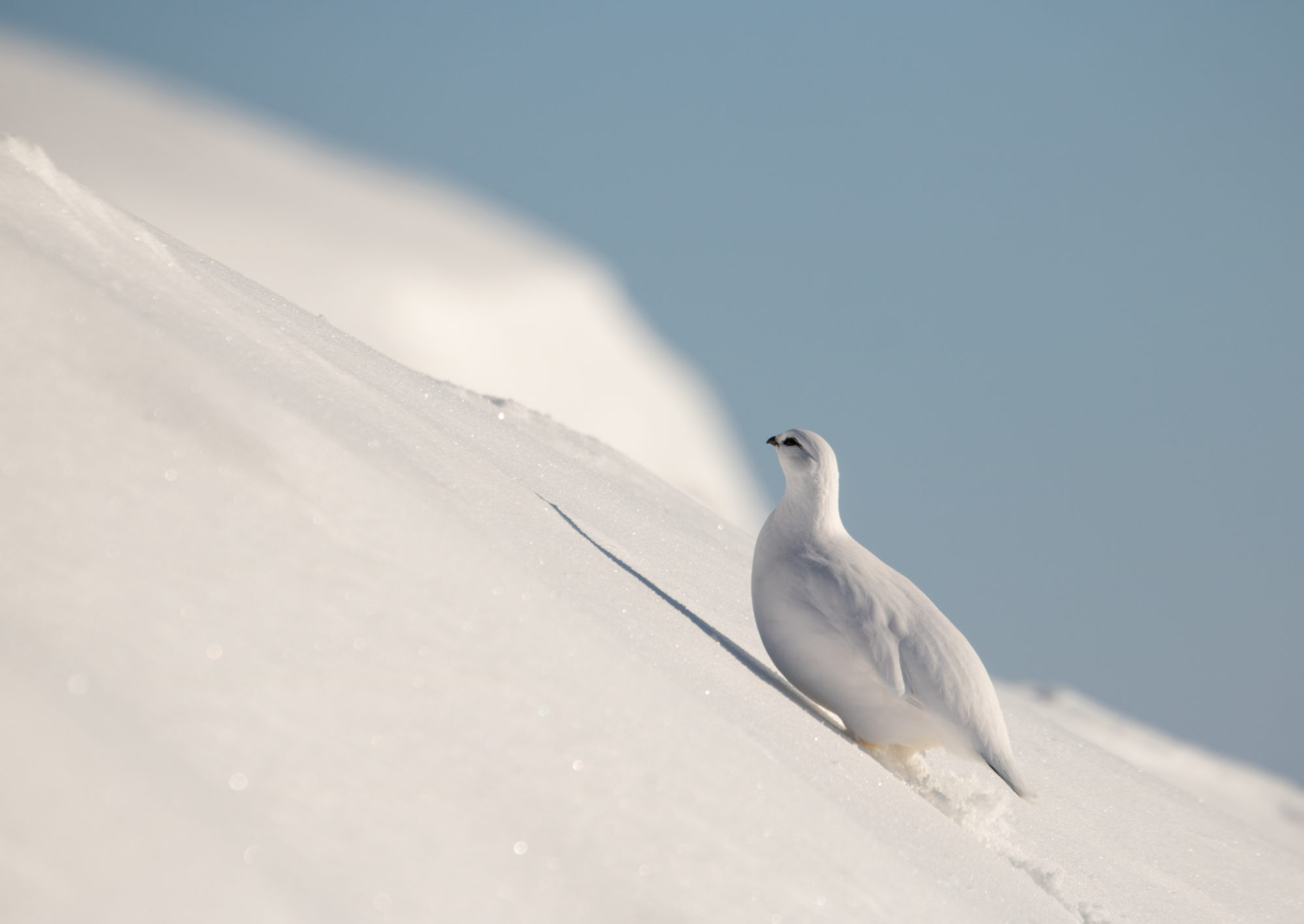 Valokuvaaja: Katri Niskanen