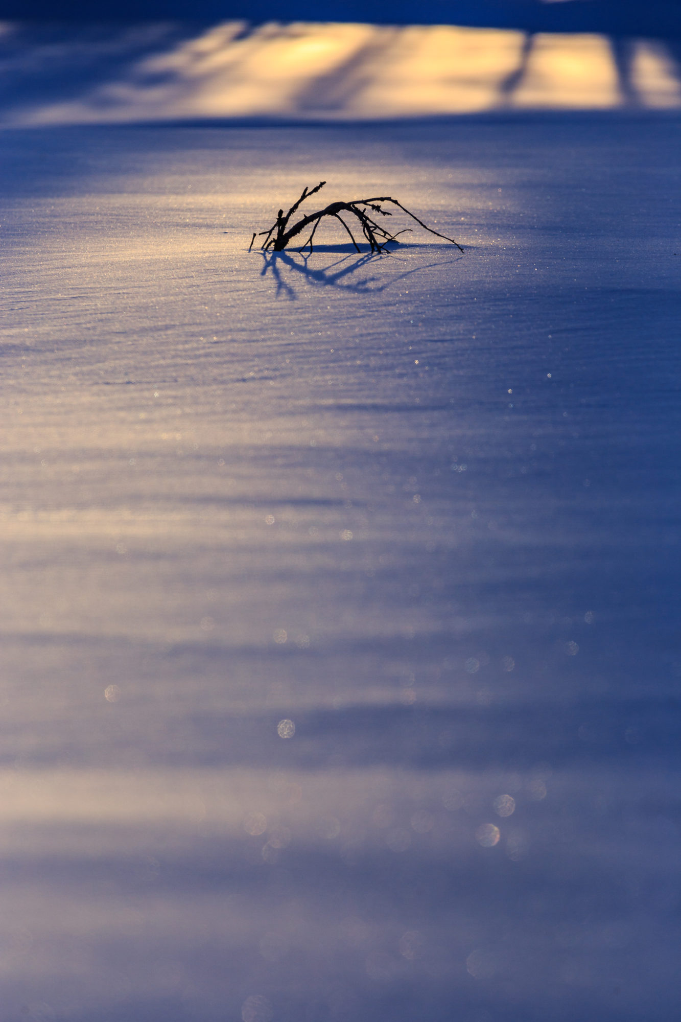 Valokuvaaja: Antti Toivanen