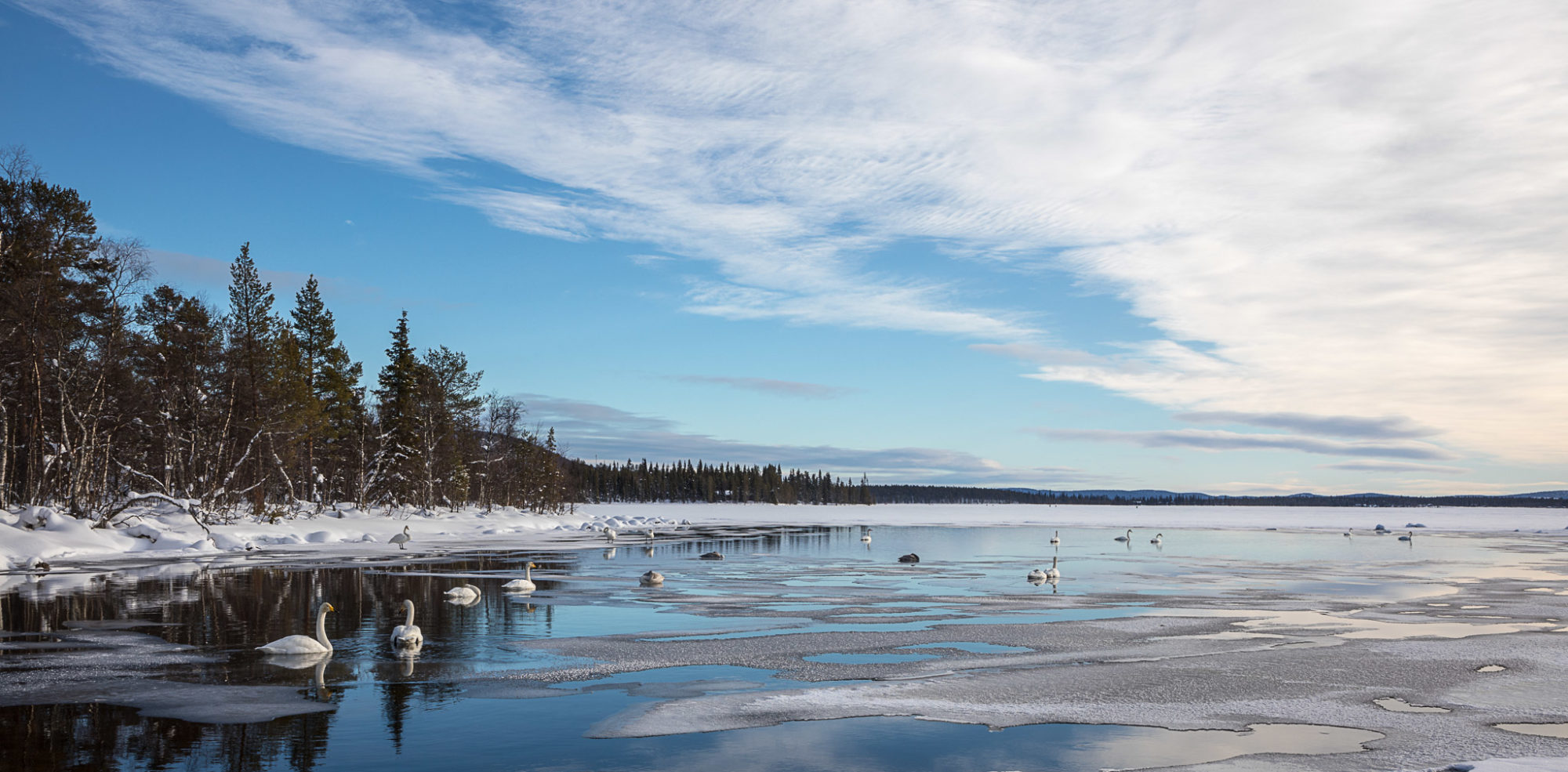 Valokuvaaja: Markku Leppävuori
