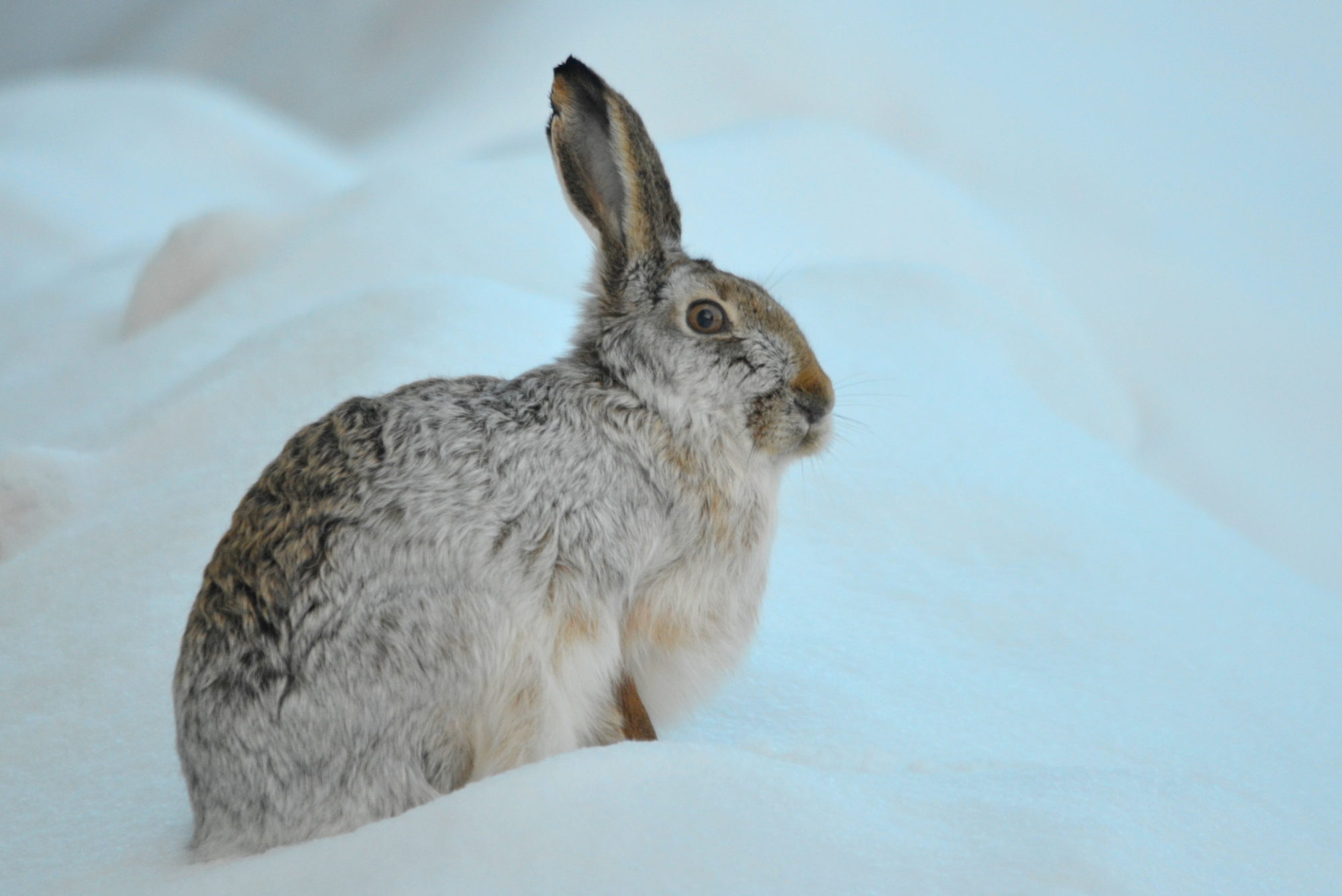 Valokuvaaja: Kaarlo Asikainen