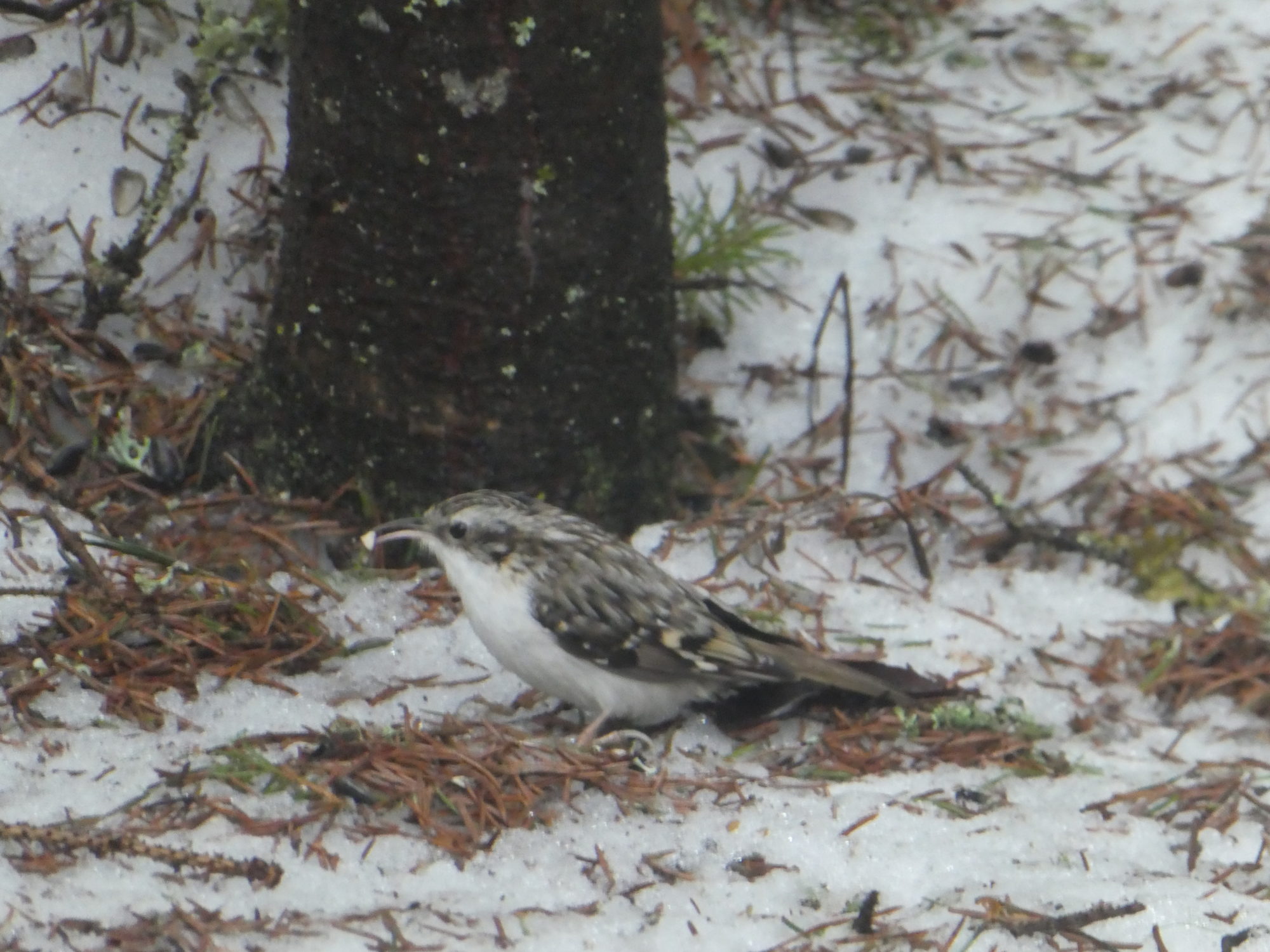 Valokuvaaja: Anja Mustamaa