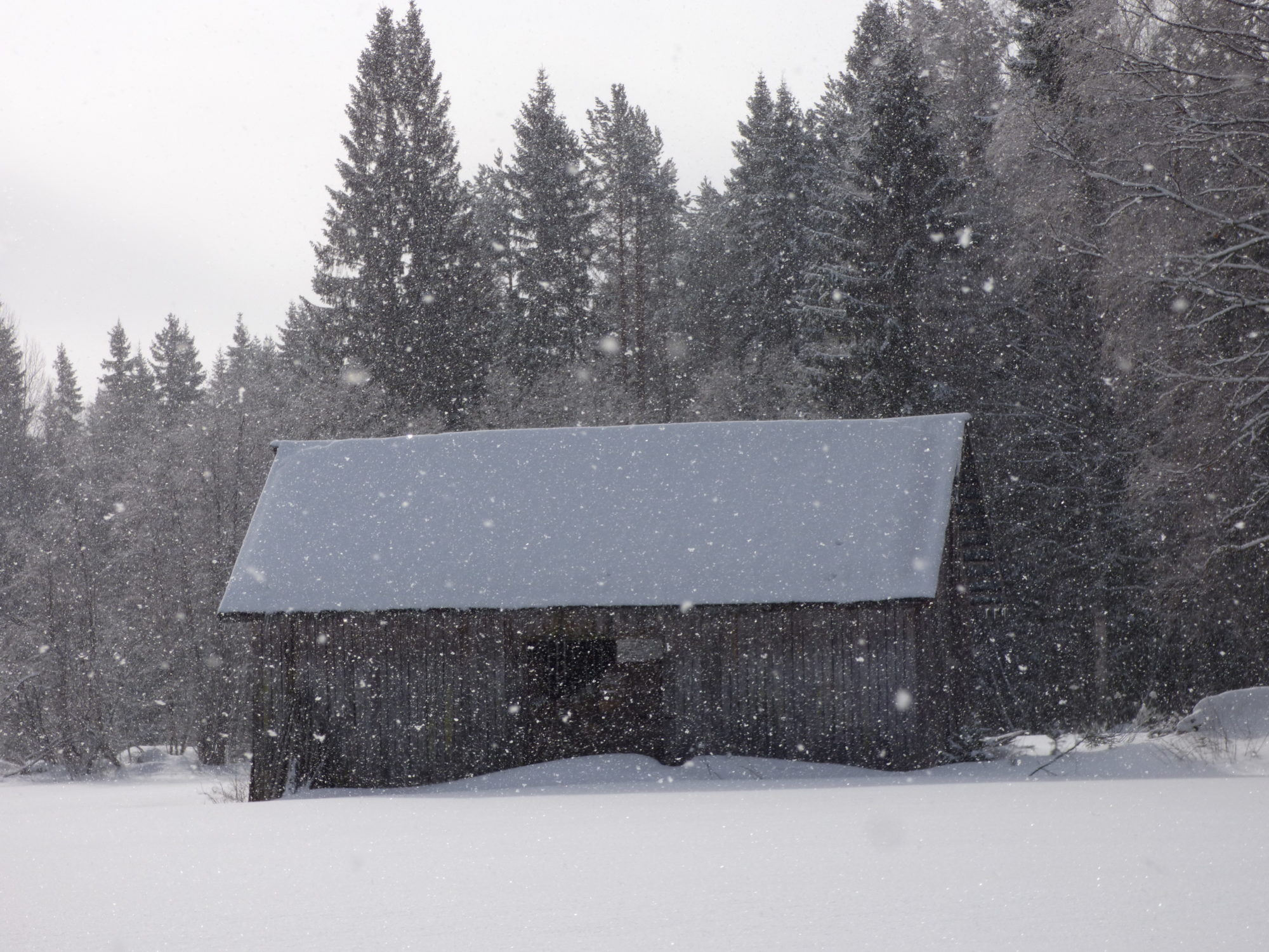Valokuvaaja: Hannu Rissanen