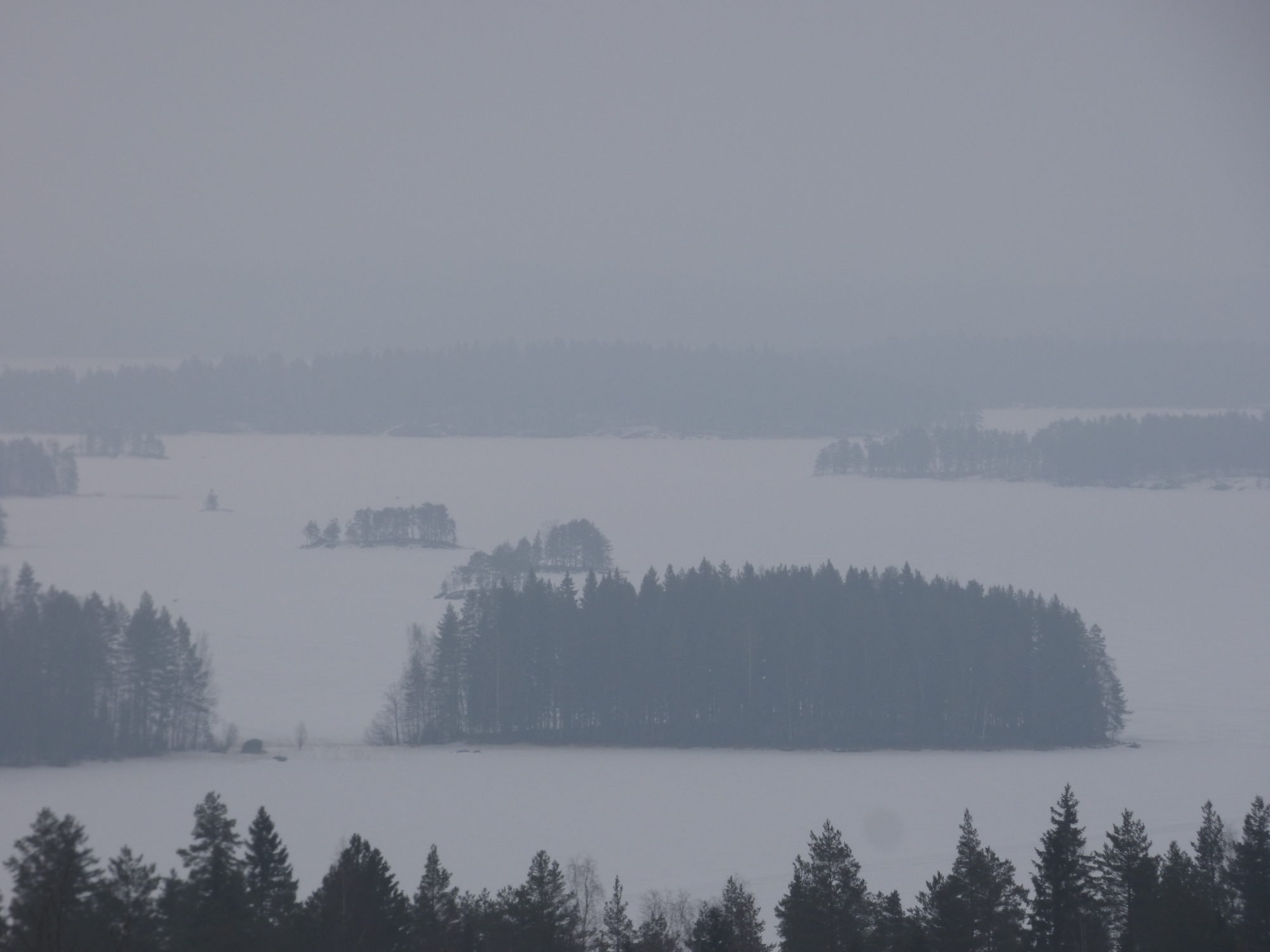 Valokuvaaja: Hannu Rissanen