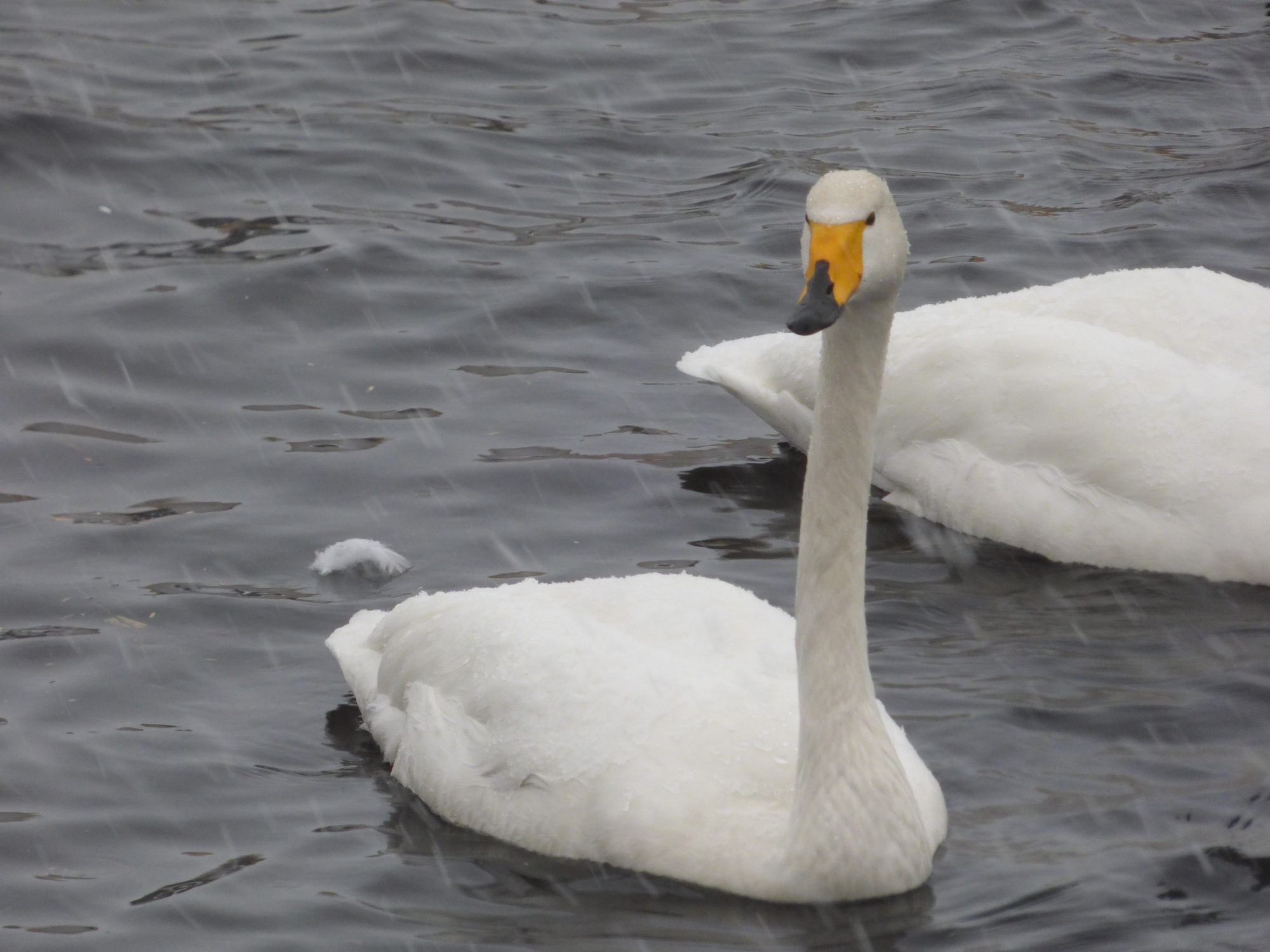 Valokuvaaja: Hannu Rissanen