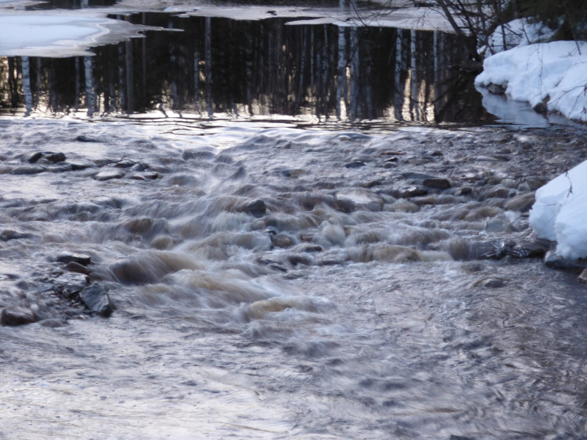 Valokuvaaja: Hannu Rissanen
