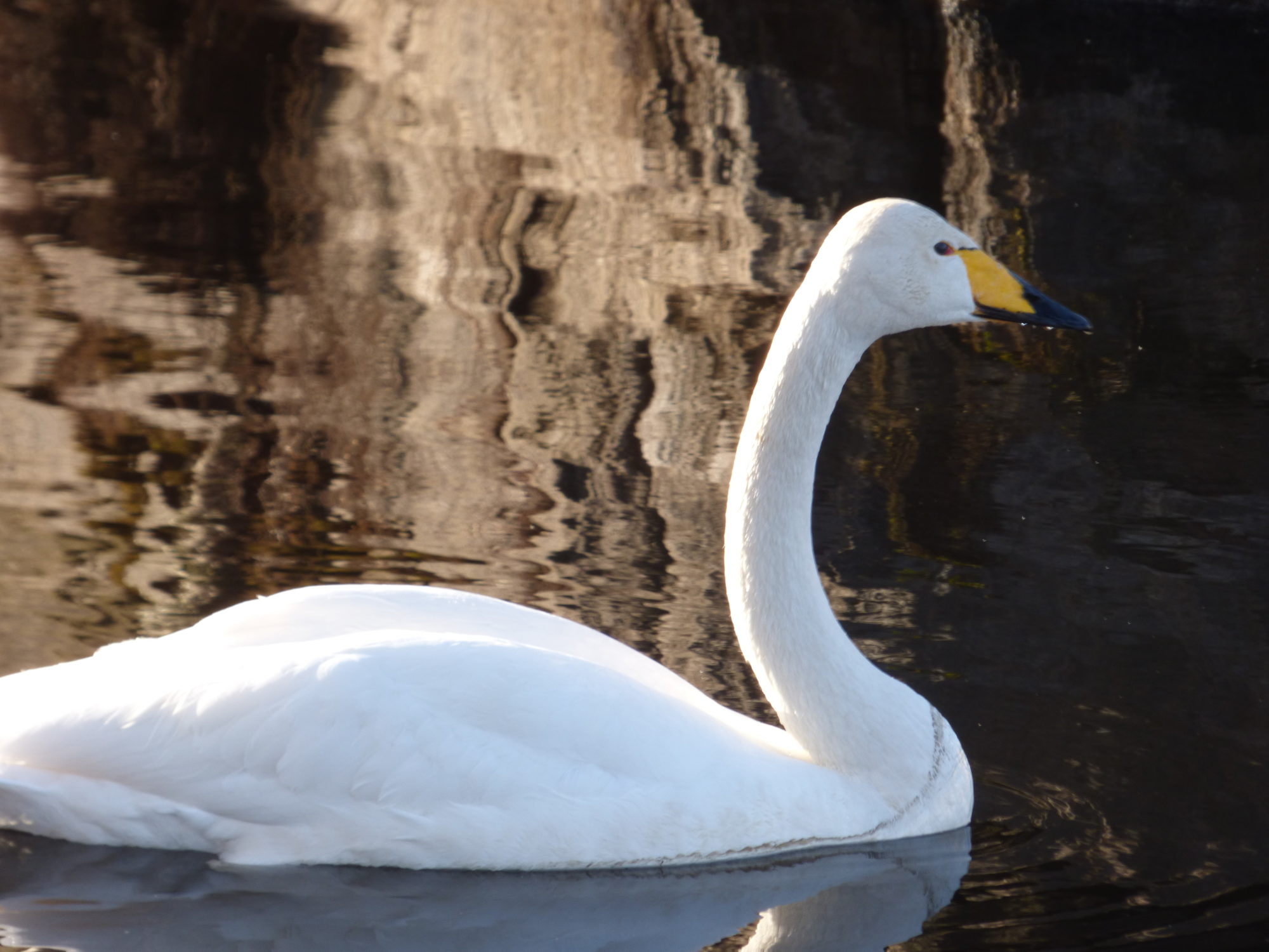 Valokuvaaja: Hannu Rissanen