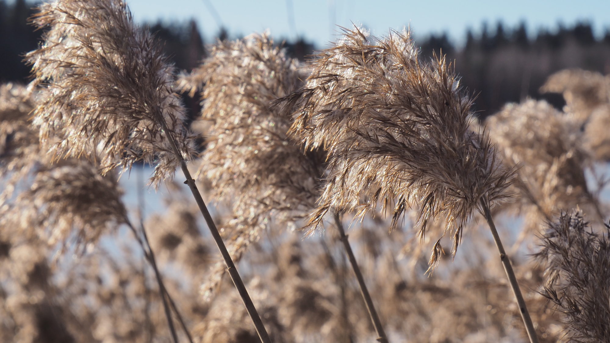 Valokuvaaja: Arja Valtonen
