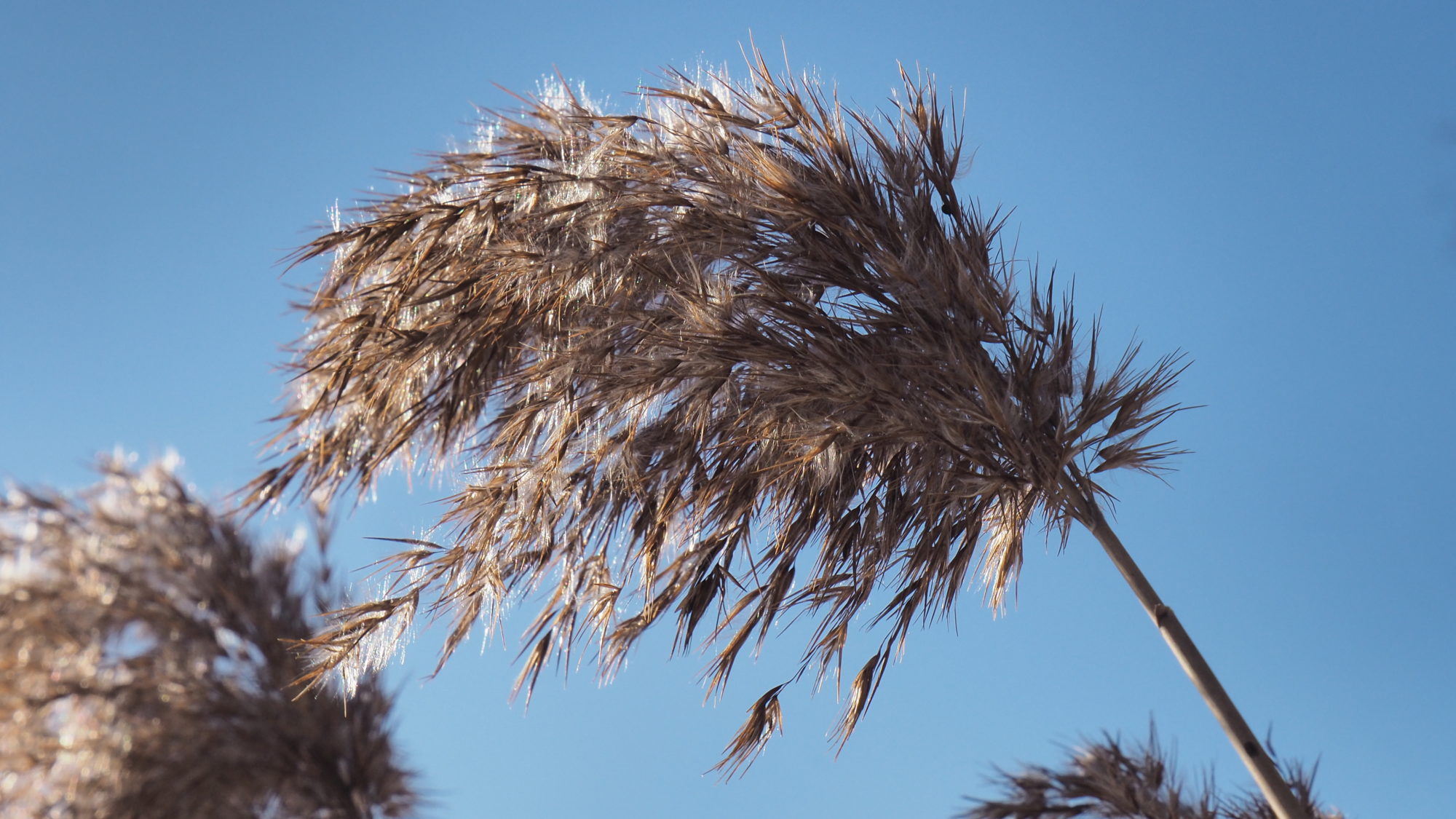 Valokuvaaja: Arja Valtonen
