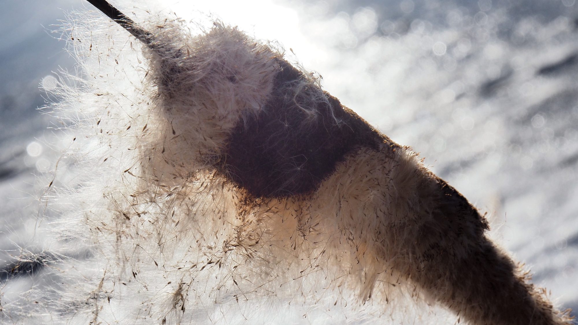 Valokuvaaja: Arja Valtonen