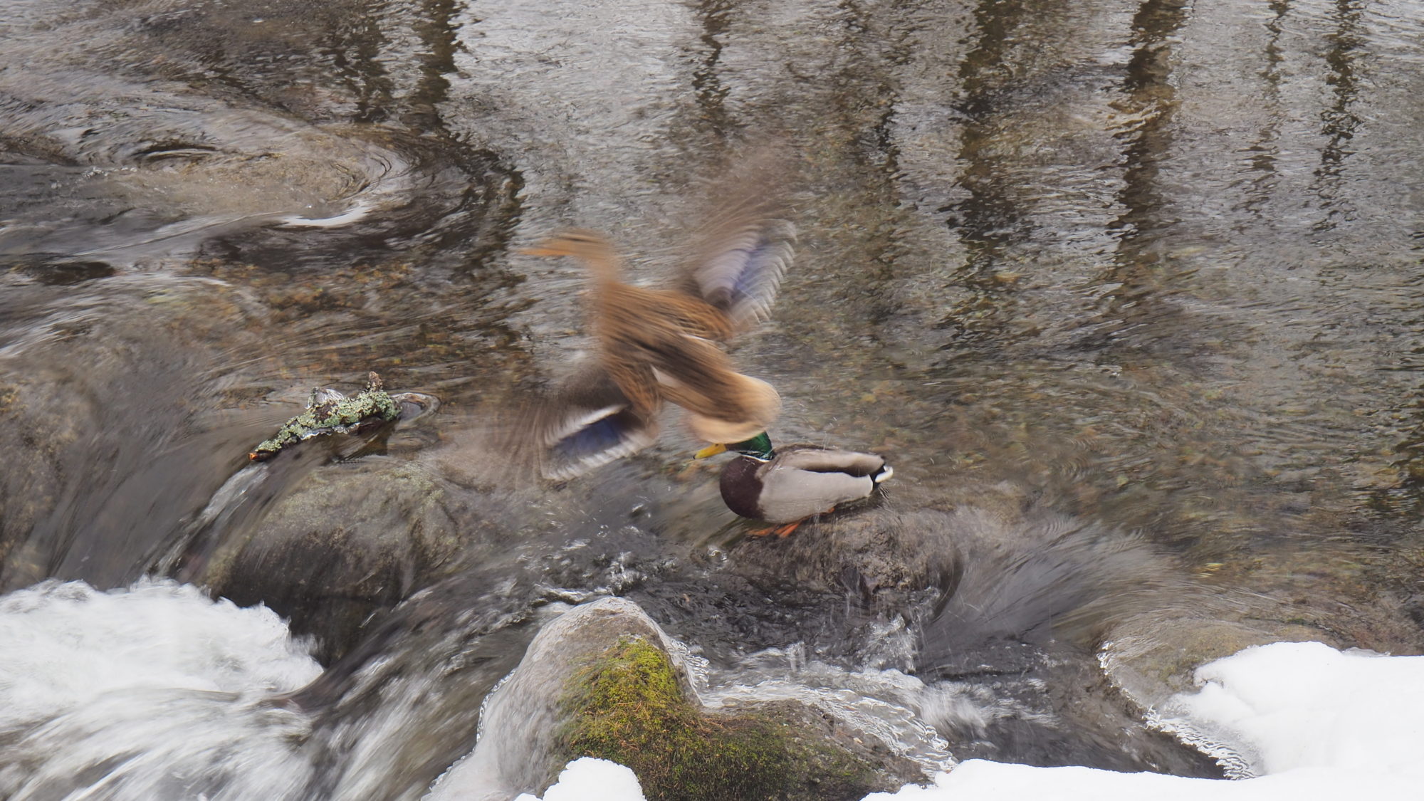 Valokuvaaja: Arja Valtonen