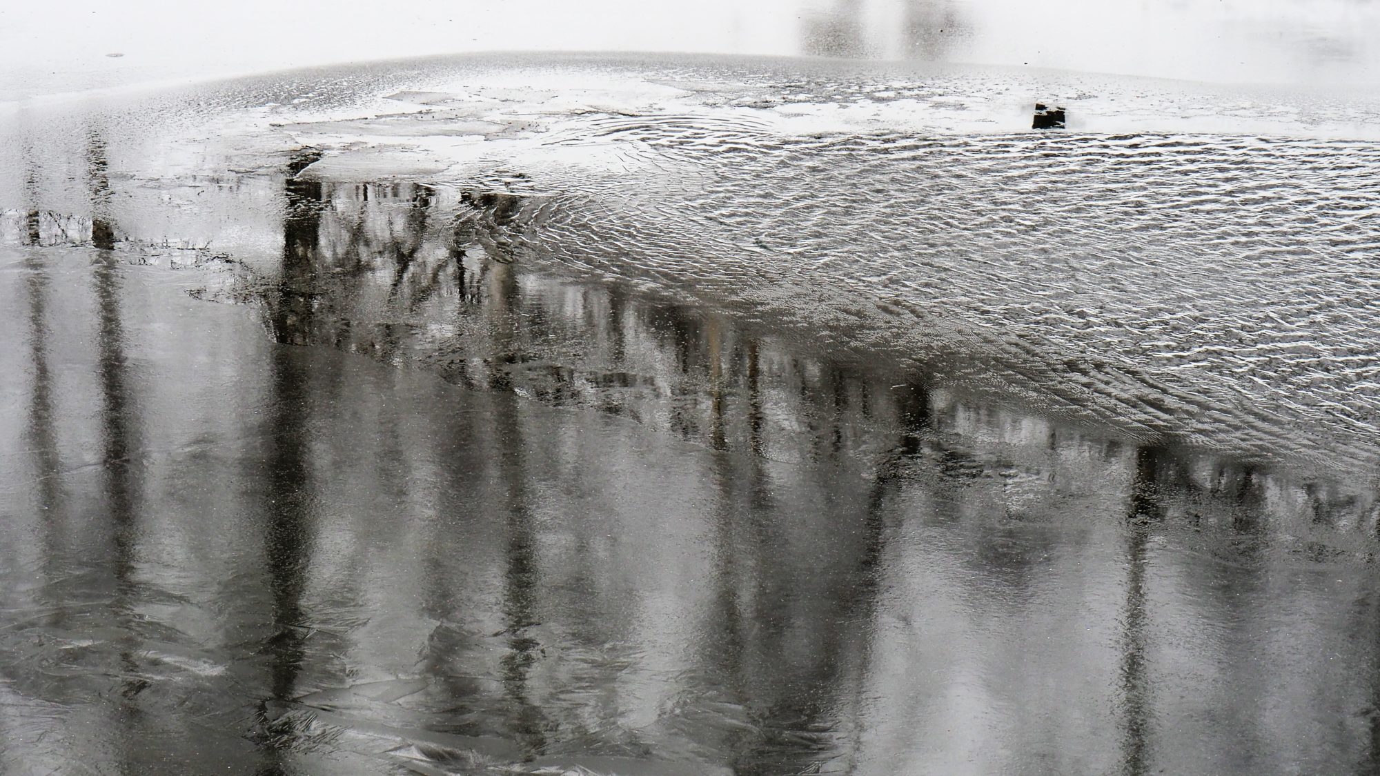 Valokuvaaja: Arja Valtonen