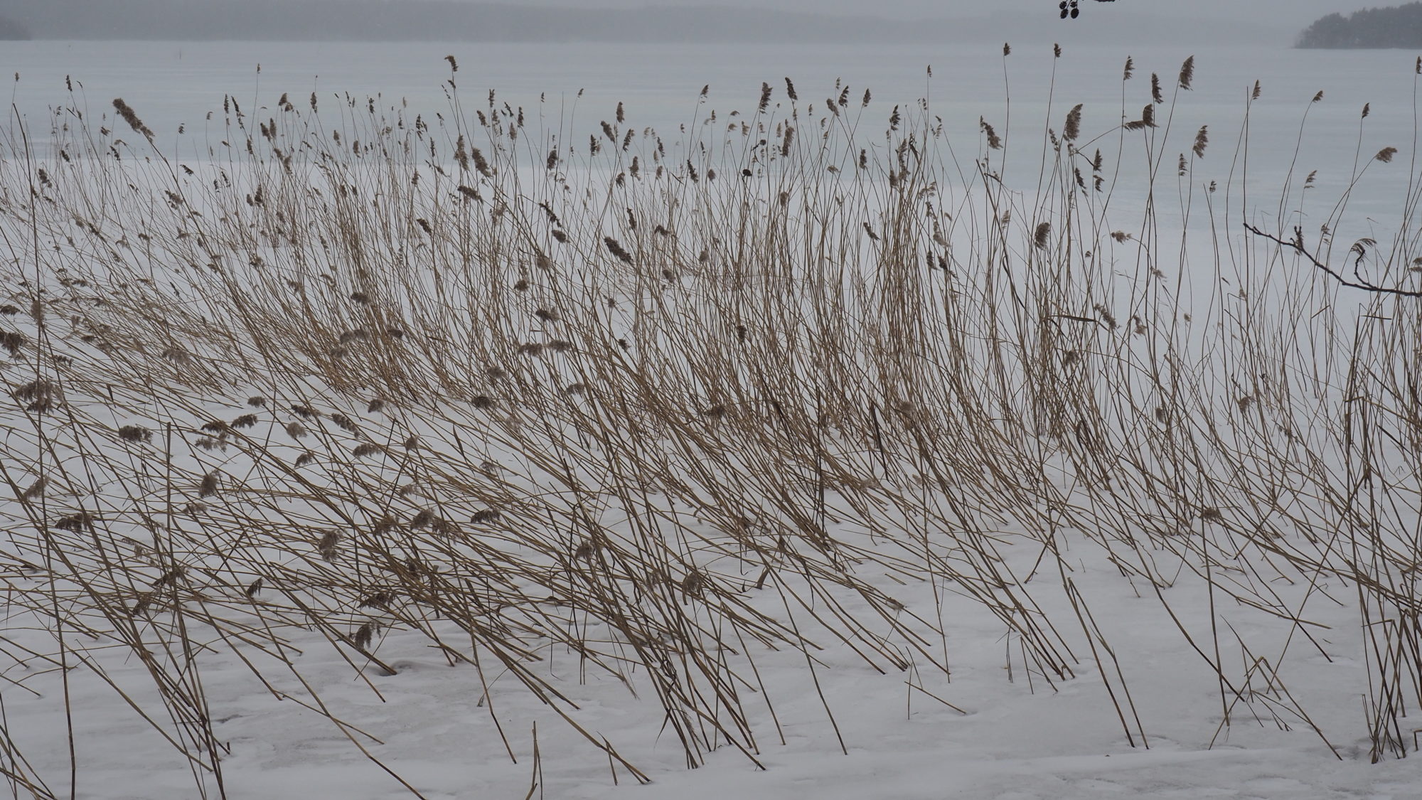 Valokuvaaja: Arja Valtonen