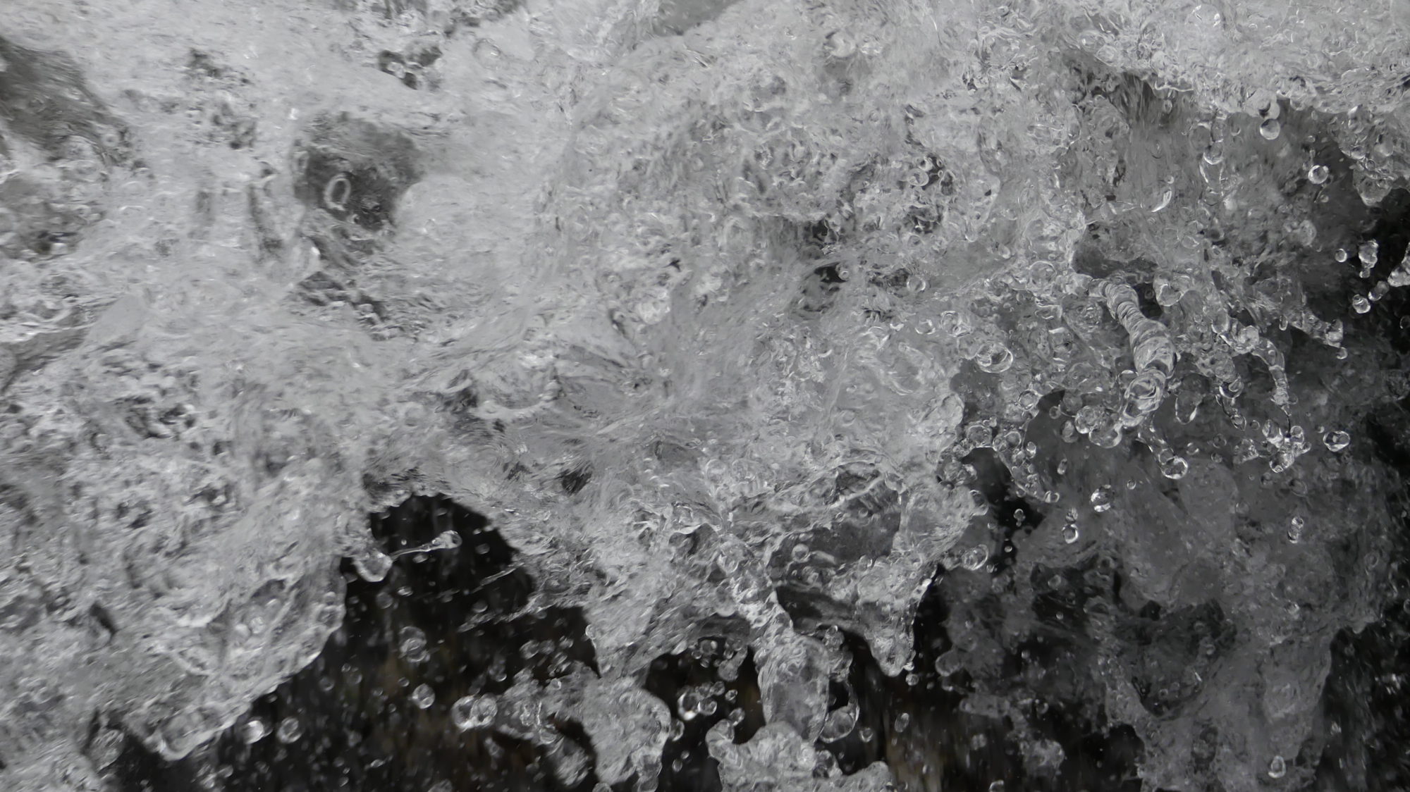 Valokuvaaja: Martti Valtonen