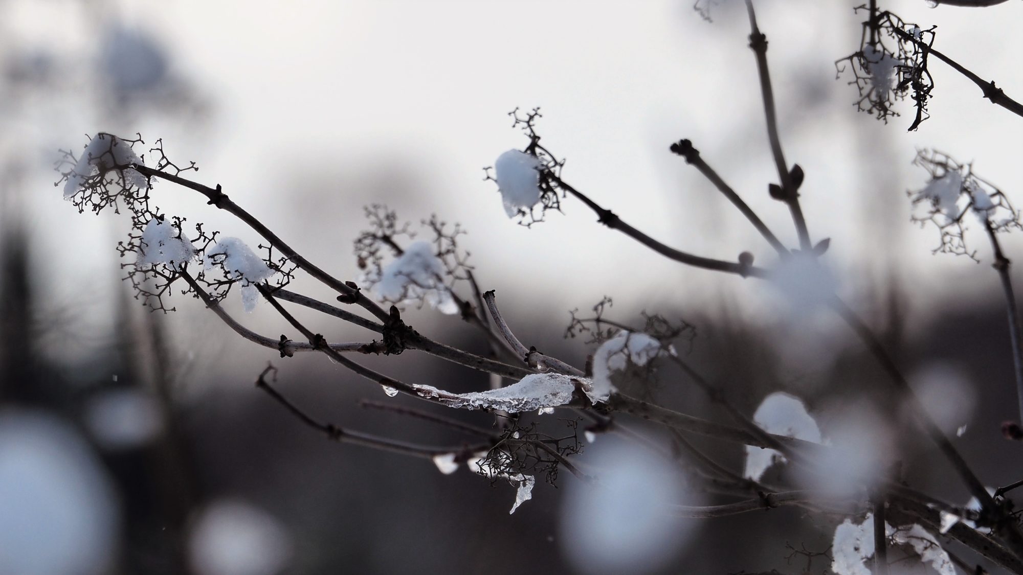 Valokuvaaja: Arja Valtonen