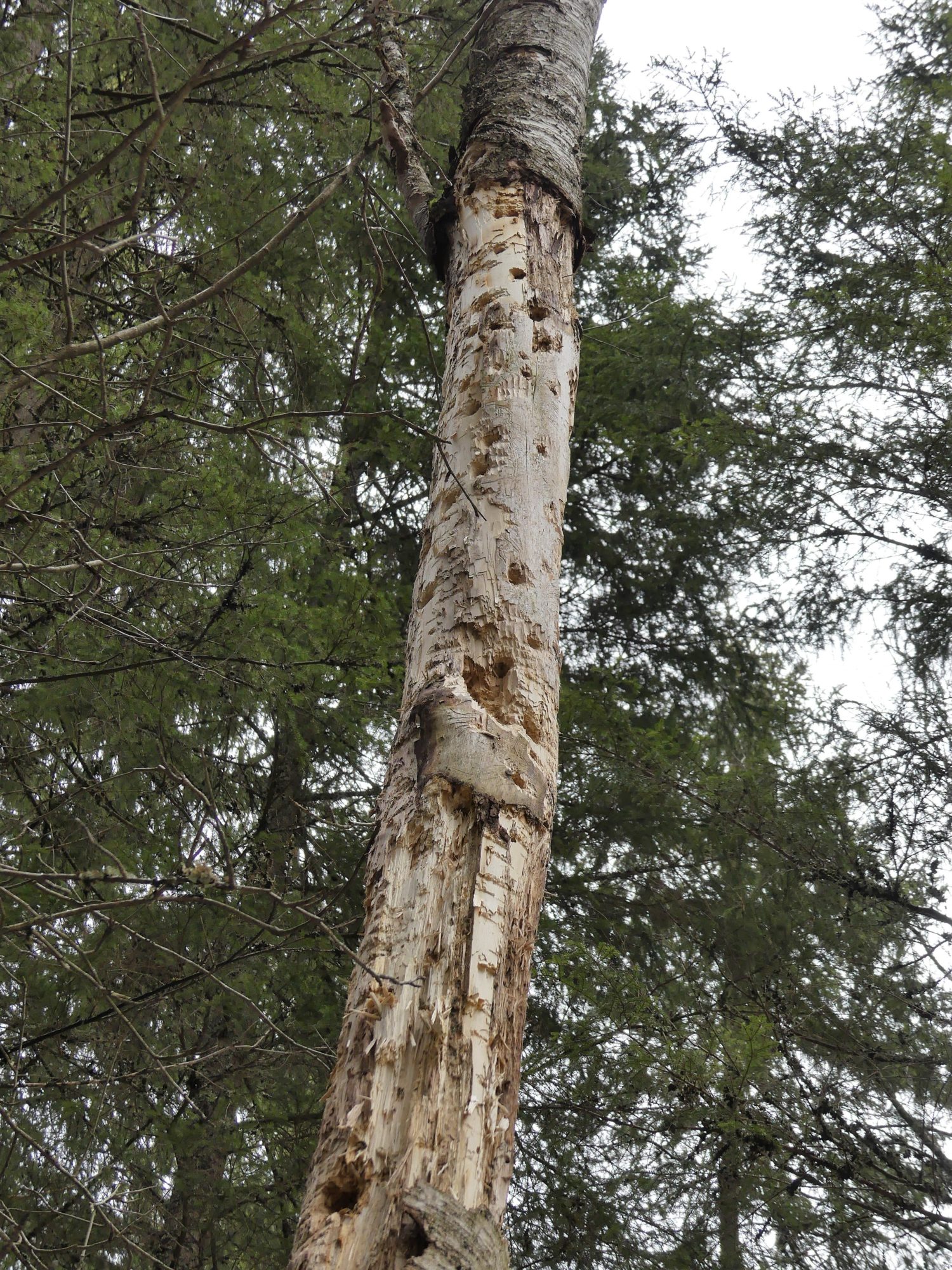 Valokuvaaja: Martti Valtonen Valokuvaaja: Martti Valtonen