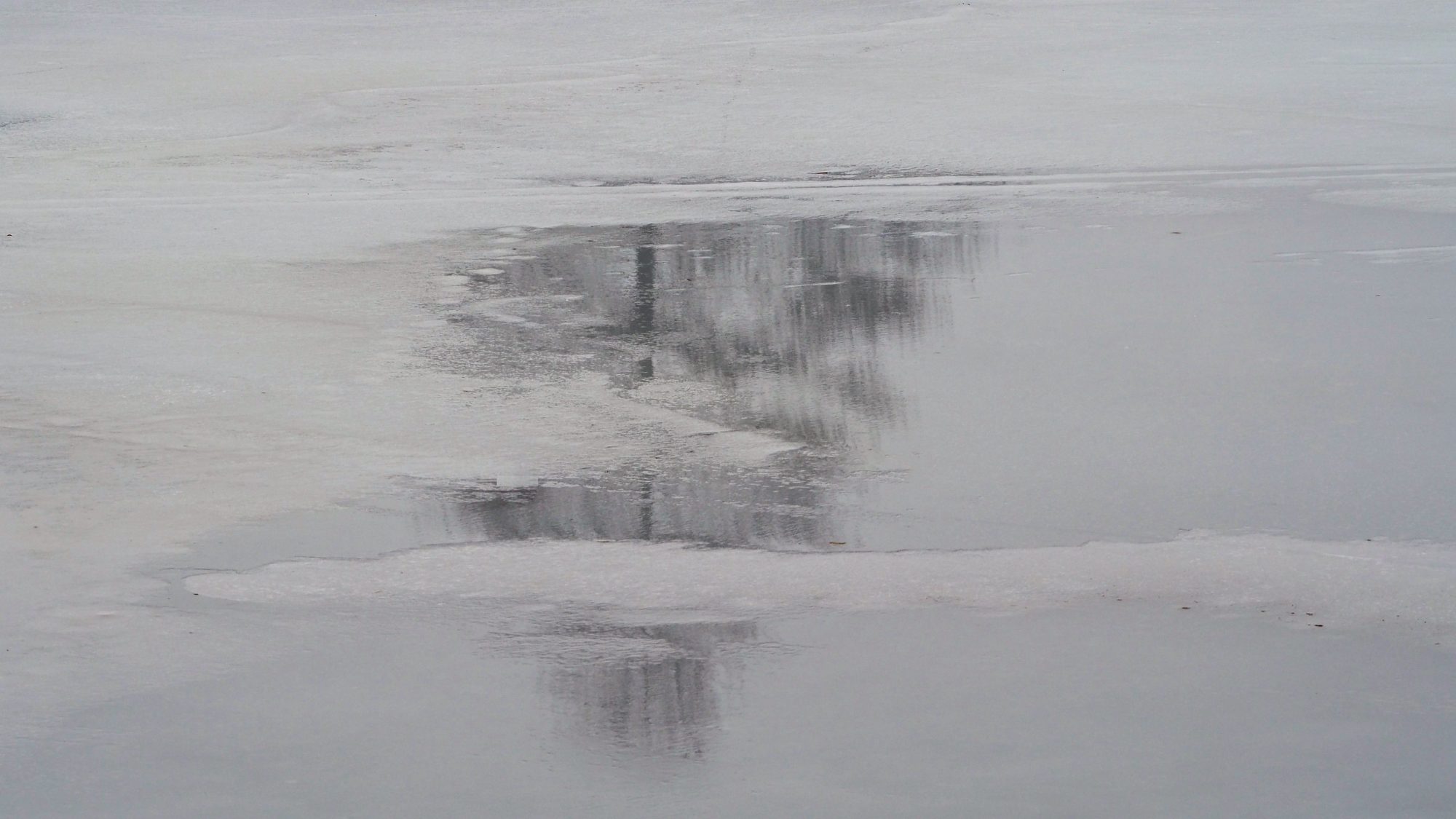 Valokuvaaja: Arja Valtonen