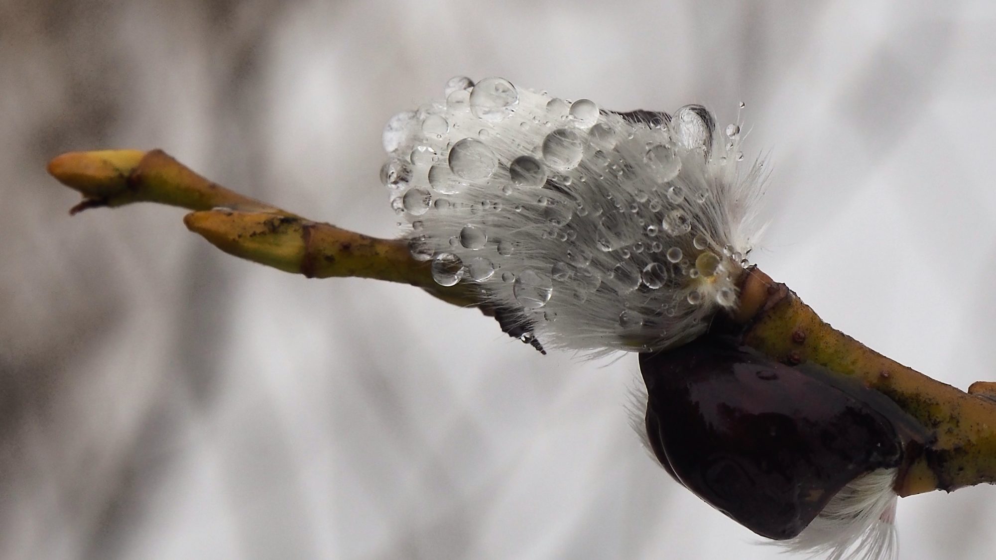 Valokuvaaja: Arja Valtonen