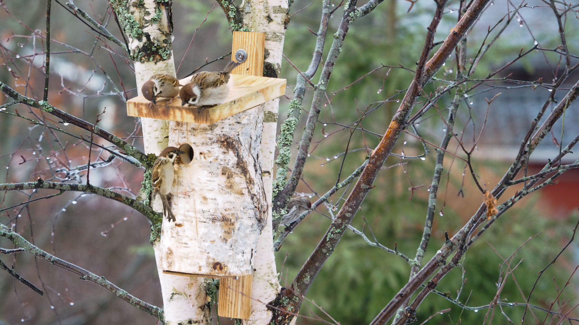 Valokuvaaja: Aki Jalava